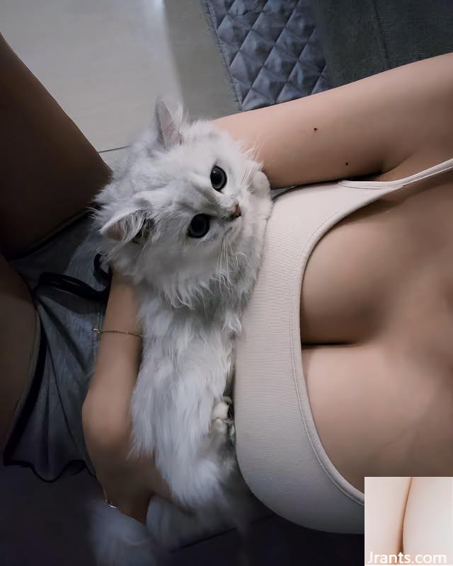 Cô gái ngực lớn “Josephine Lim” chinh phục khán giả với bộ ngực phong phú (10p) - Ảnh 3