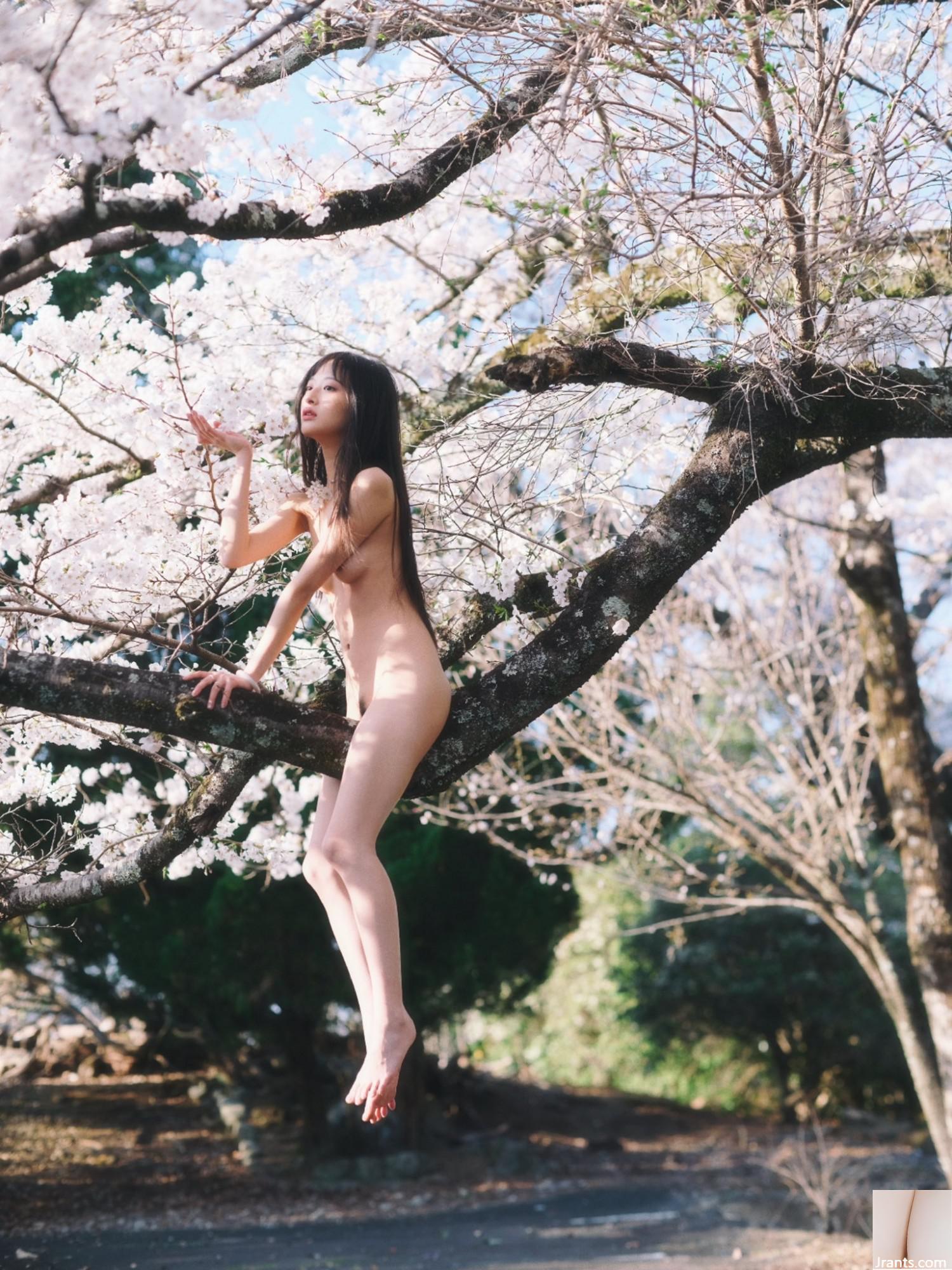 (Nhiếp ảnh gia) @LINSIVVI (84P) - Ảnh 3