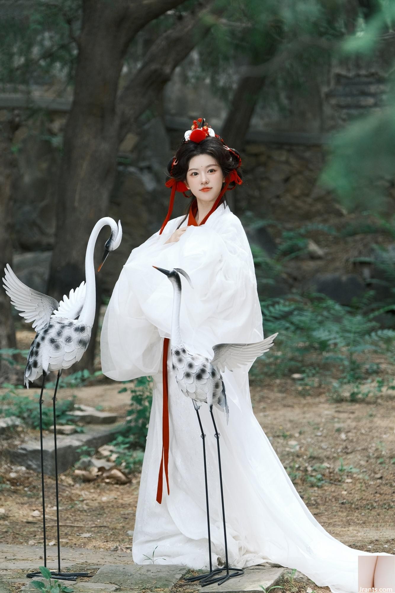 Cần cẩu (44p) - Ảnh 12