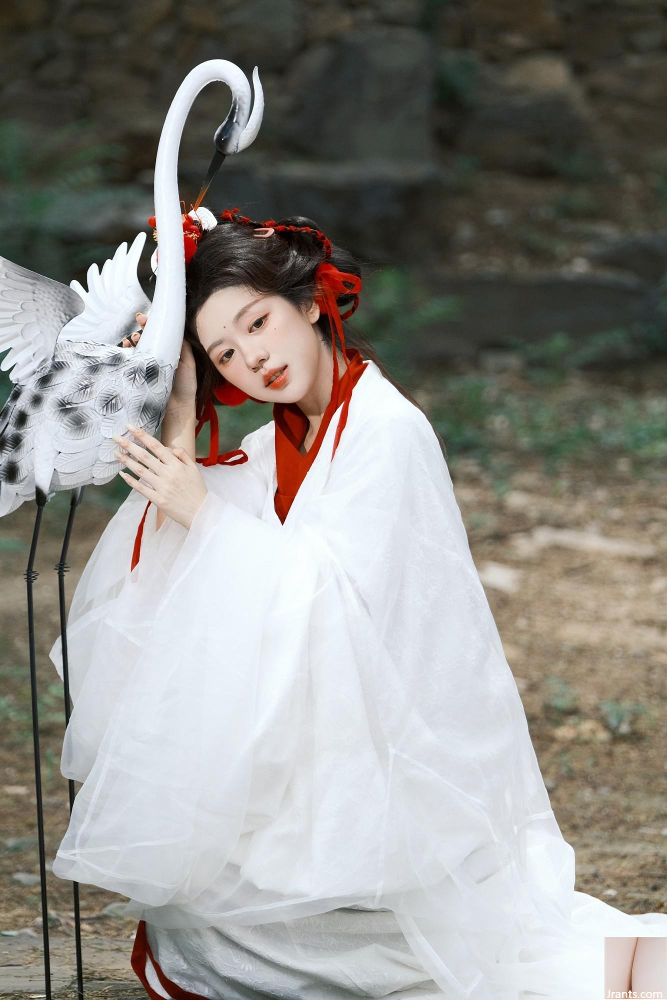 Cần cẩu (44p) - Ảnh 16