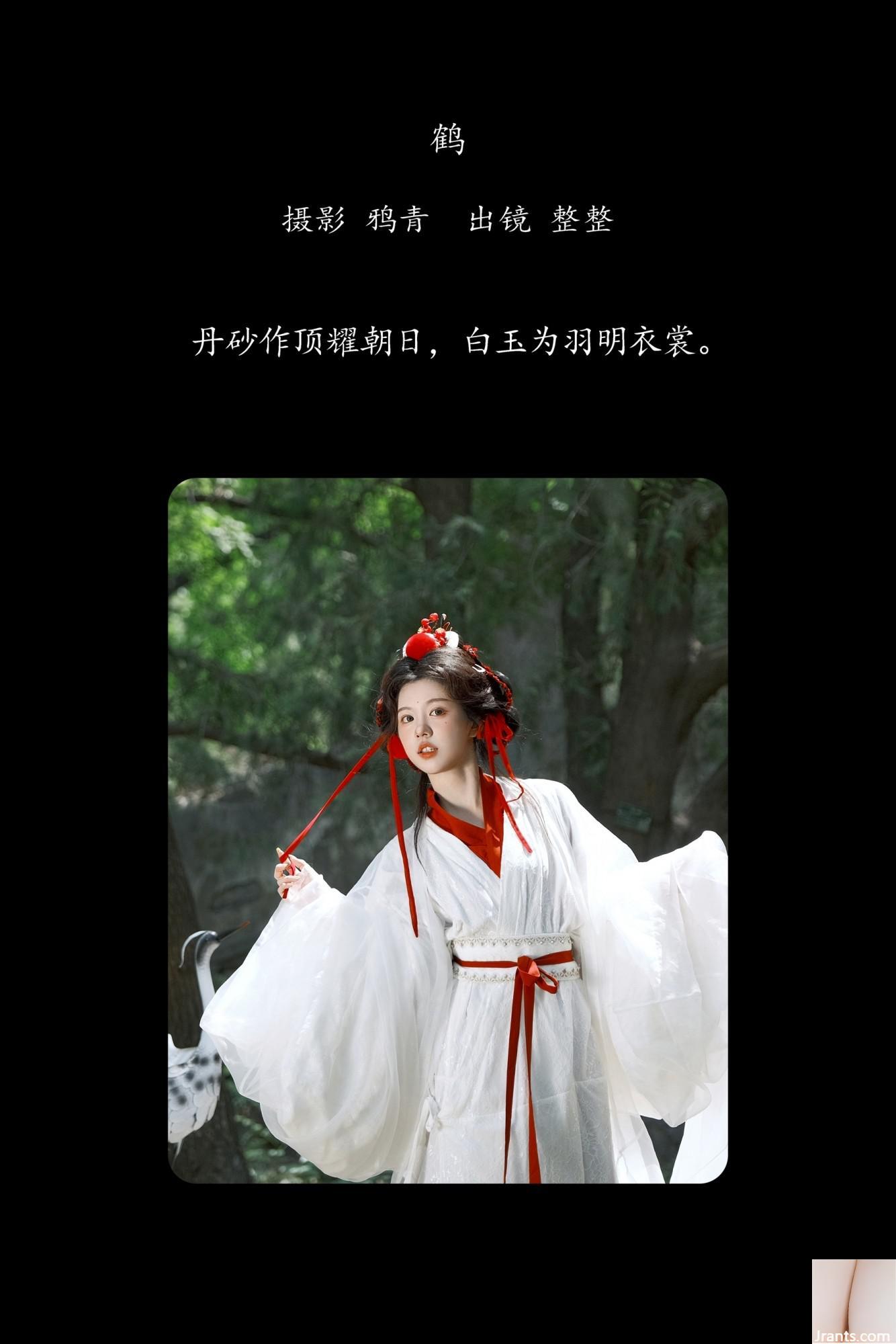 Cần cẩu (44p) - Ảnh 3