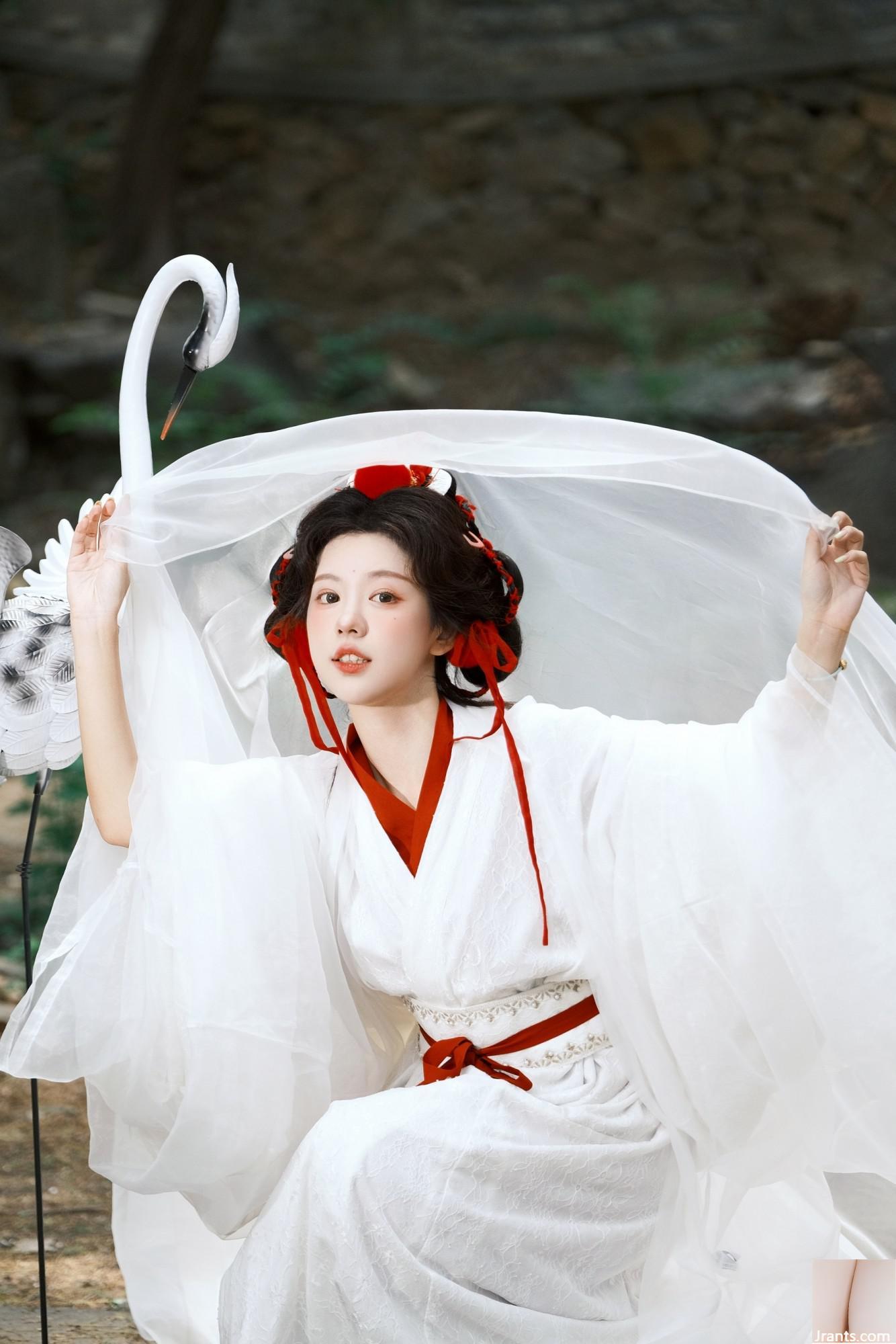 Cần cẩu (44p) - Ảnh 5