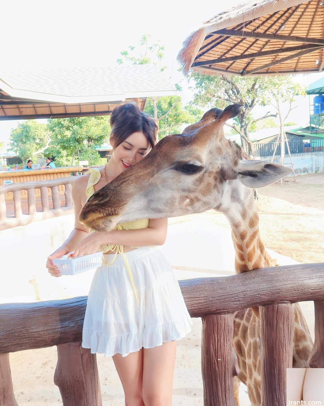 Devil Little Devil “Xia Qing” có một nhân vật trắng và dịu dàng khiến mọi người không thể dừng lại (10p) - Ảnh 4