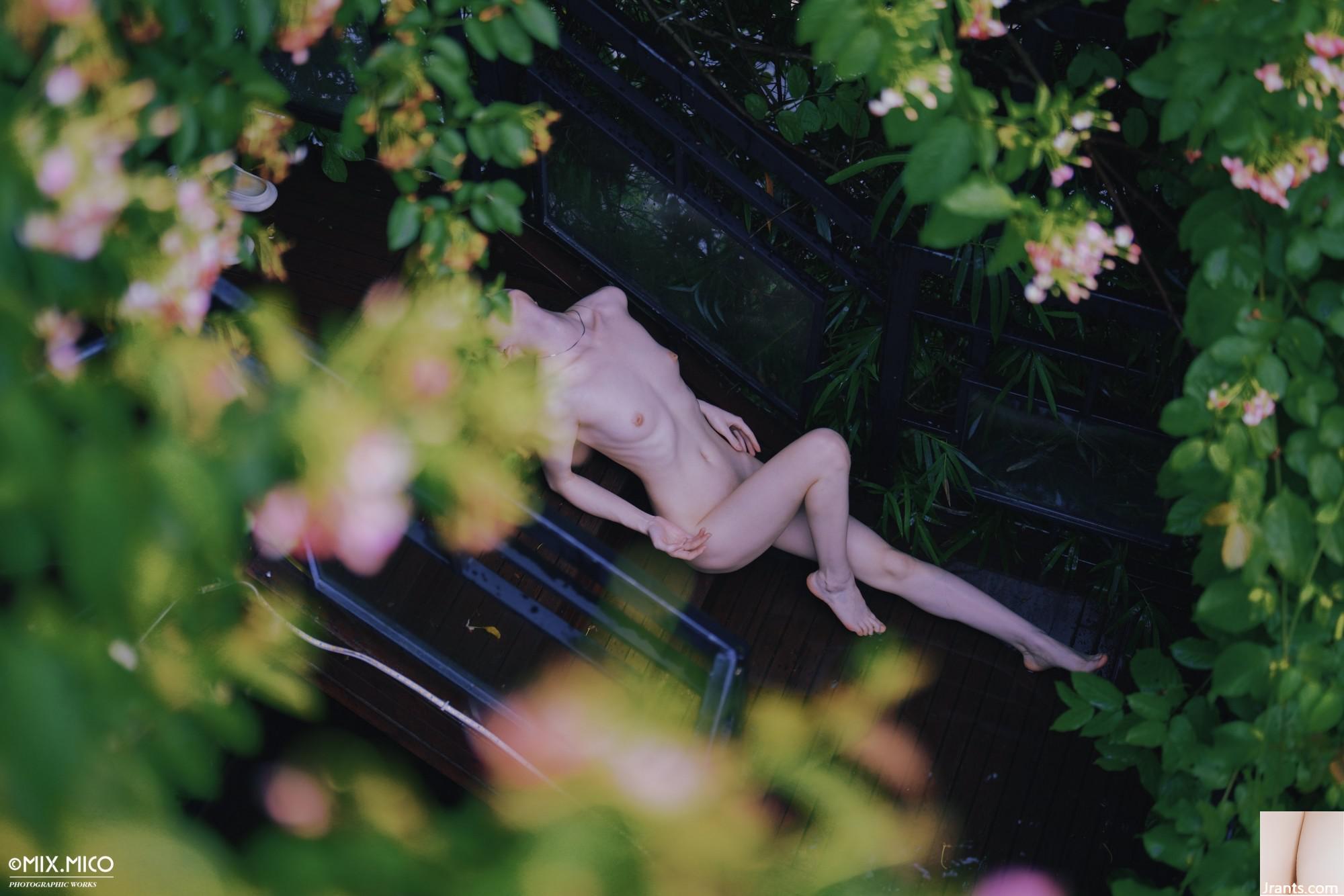 (Nhiếp ảnh gia)@Mixmico3 (24p) - Ảnh 14