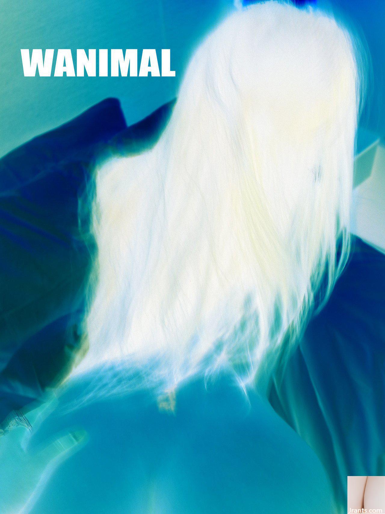 (Tác phẩm của Vương Đông) Bộ sưu tập ảnh WANIMAL Tumblr (107) (50P) - Ảnh 15
