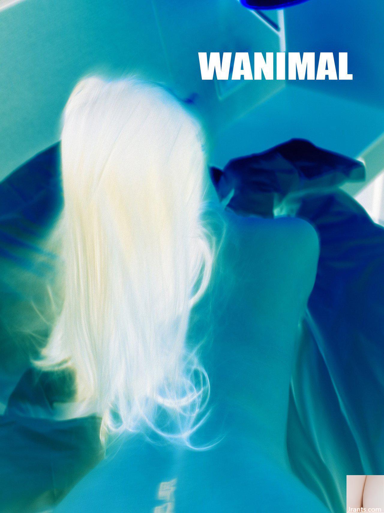 (Tác phẩm của Vương Đông) Bộ sưu tập ảnh WANIMAL Tumblr (107) (50P) - Ảnh 17