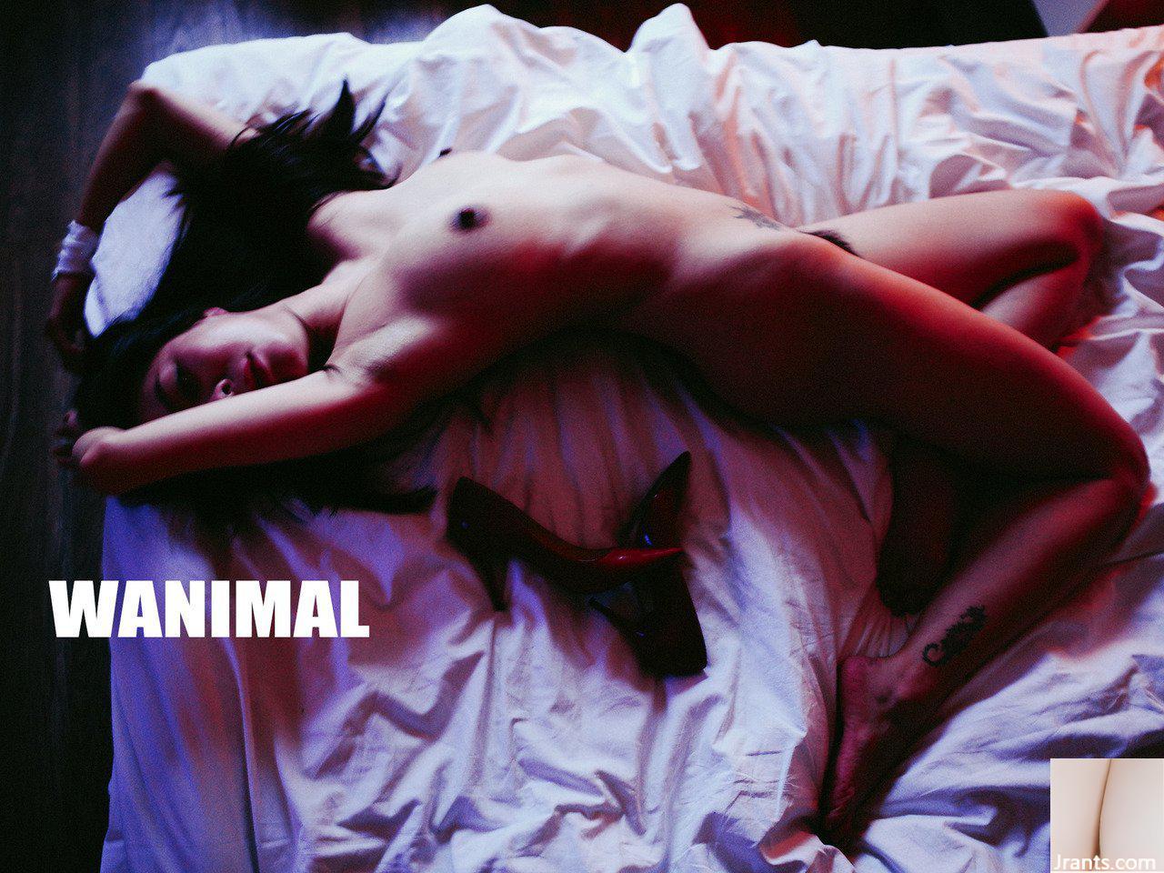 (Tác phẩm của Vương Đông) Bộ sưu tập ảnh WANIMAL Tumblr (107) (50P) - Ảnh 19
