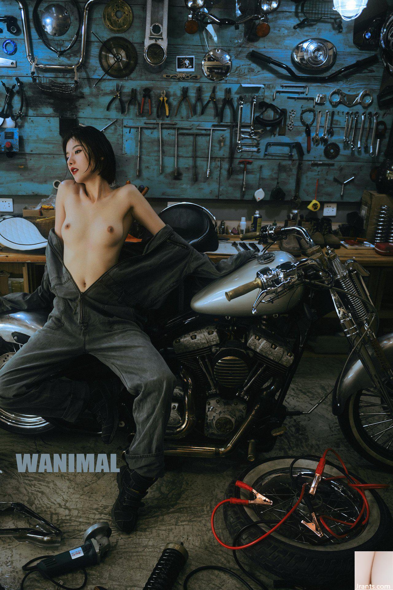 (Tác phẩm của Vương Đông) Bộ sưu tập ảnh WANIMAL Tumblr (110) (50P)