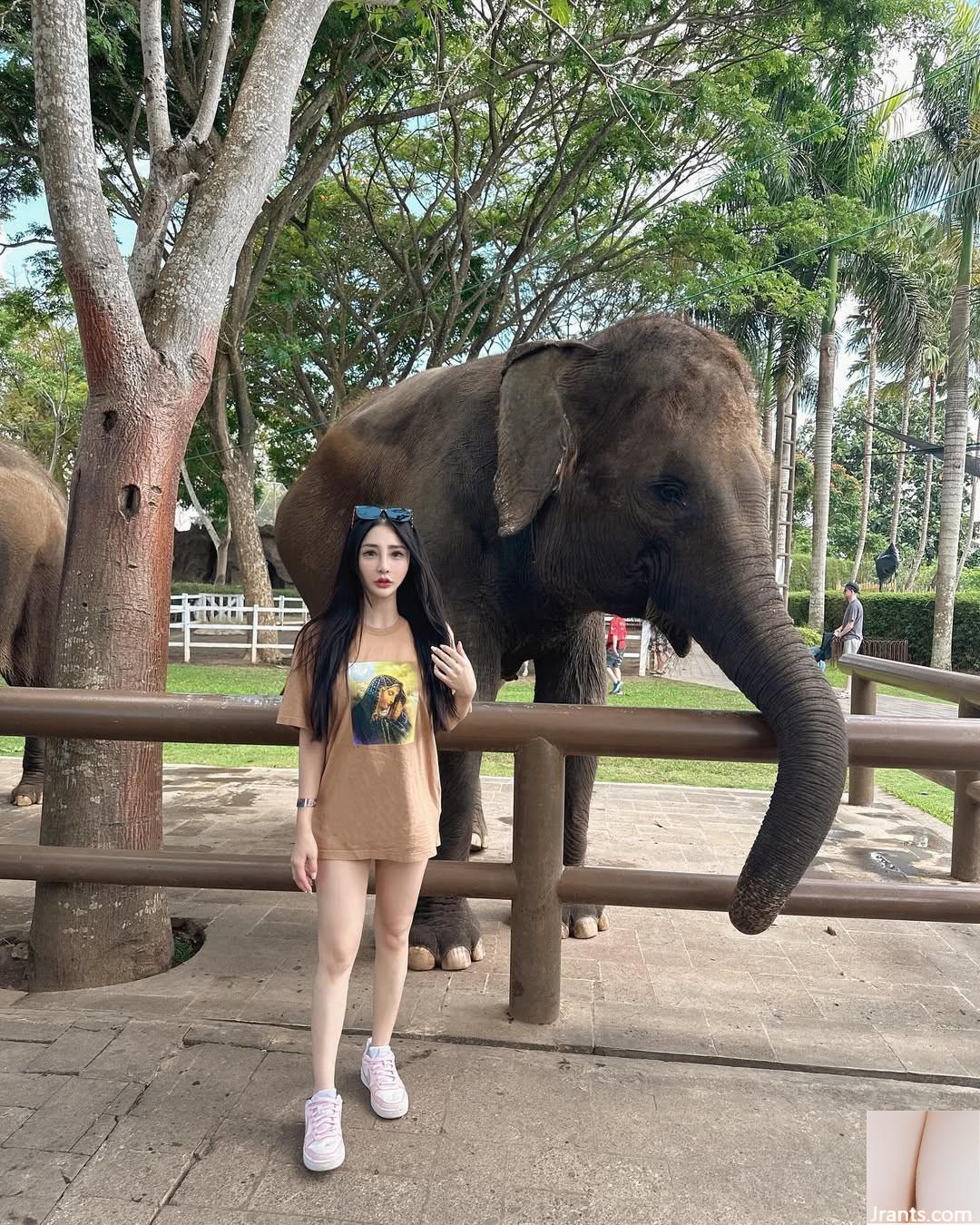 Vẻ ngoài đẹp, tôi vô tình rơi vào “Liu Xiaofan” (17p)