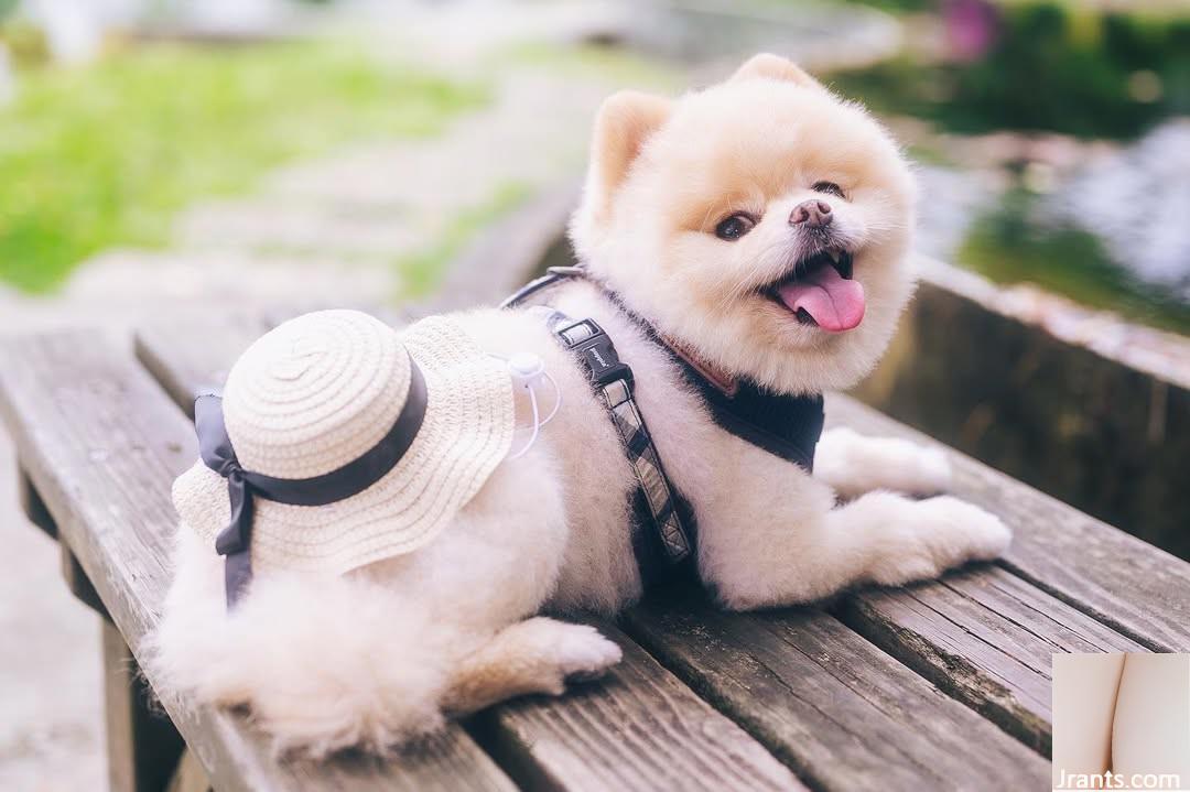 “Fei fei - Ảnh 14