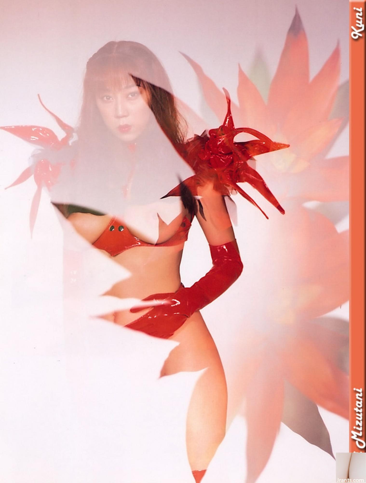 Mizutani Kazu (Ảnh) (Quét Kuni) (60p) - Ảnh 43