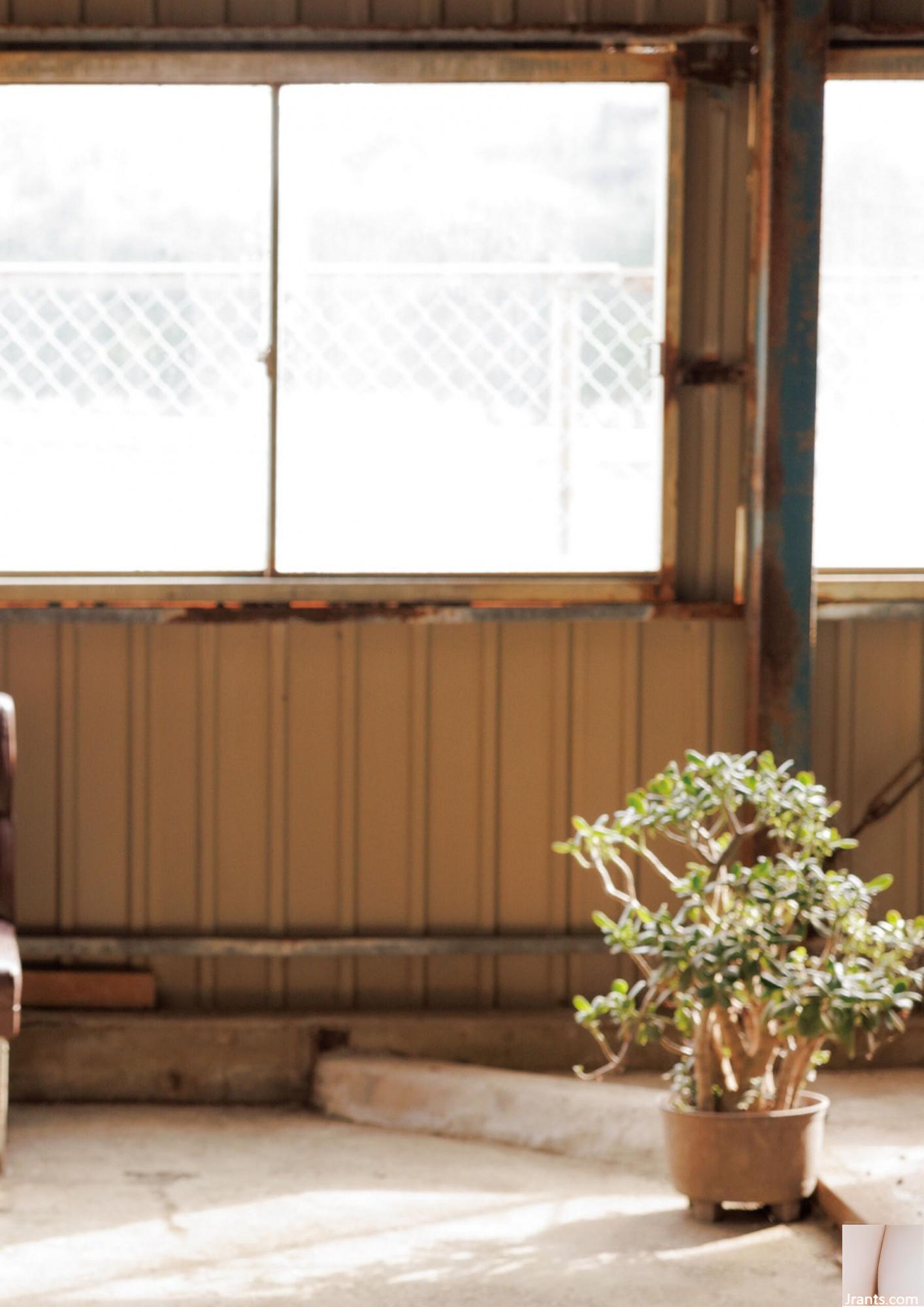 ((Bách khoa toàn thư Nhật Bản) Rikka Ono《Gia tăng tình yêu hèn nhát-Phiên bản đặc biệt kỹ thuật số》(122P) - Ảnh 25