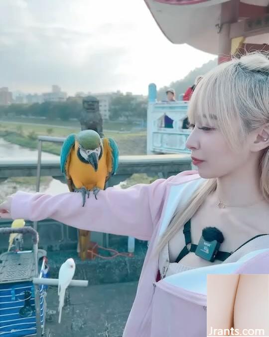 Hiển thị các đường cong hấp dẫn “LAN XINYU” Body Hot Full and Fits (24p) - Ảnh 5