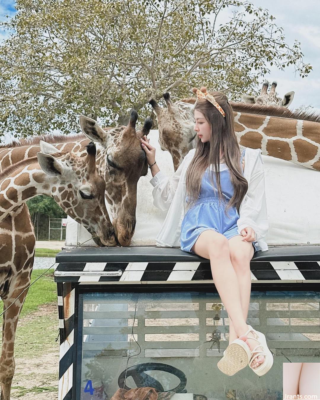 Vòng cung hoàn hảo “Yifeng Zheng” Thật dữ dội khi có chu vi đầy đủ! - Ảnh 9