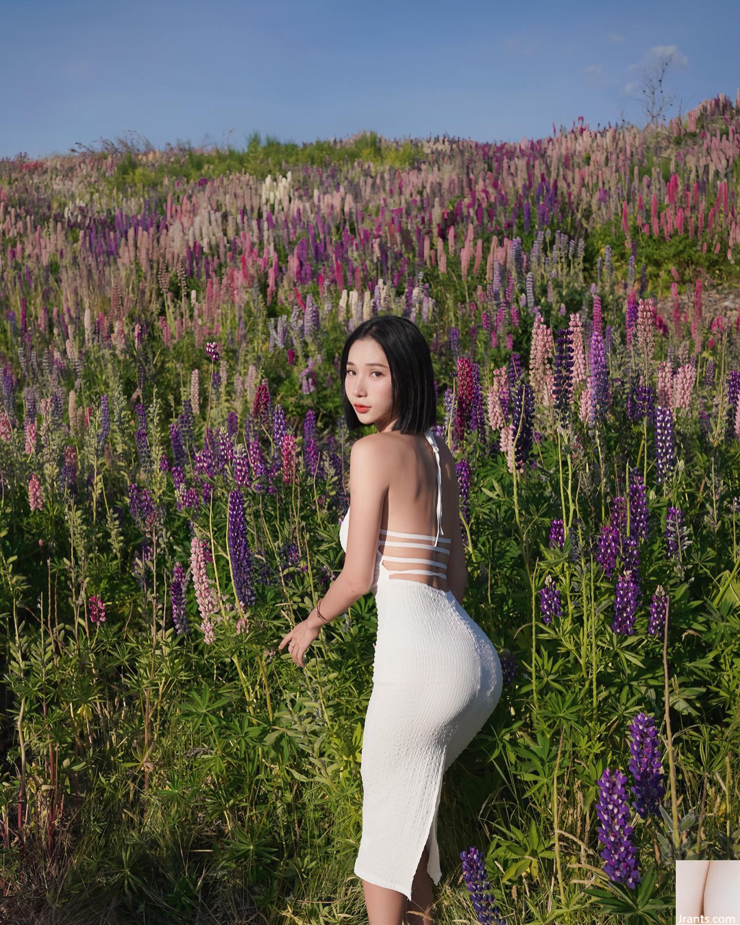 Bức tranh bắt mắt là không giới hạn (21p)