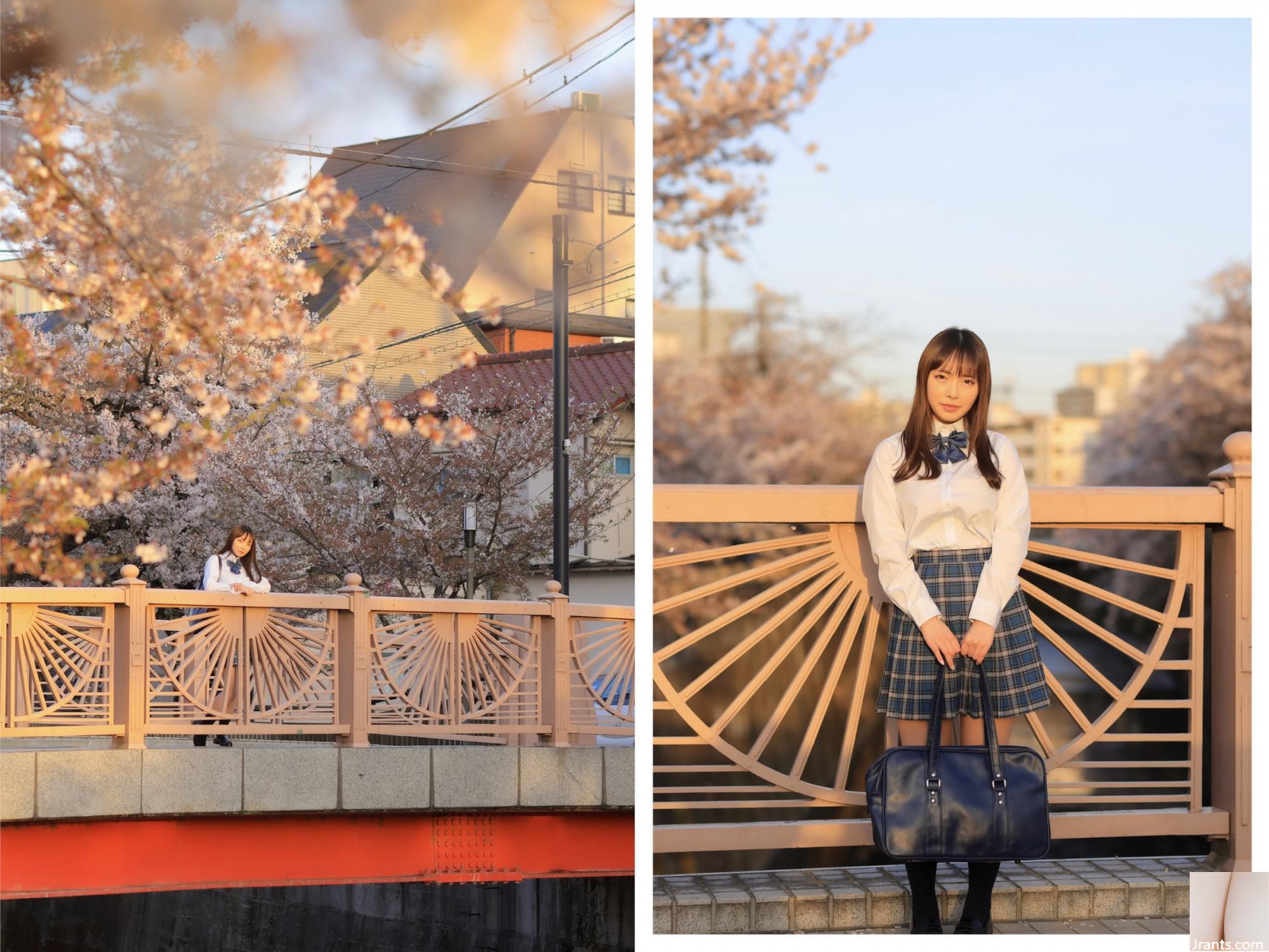 Ran Ran (66p) - Ảnh 37