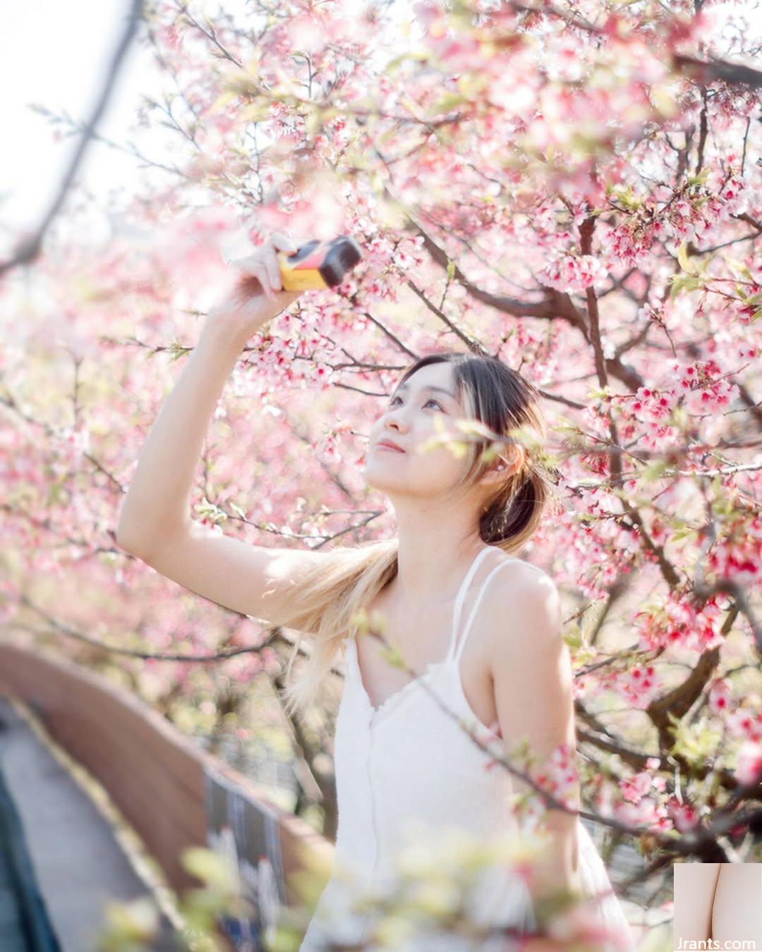 “Fan Ruhan” có một nhân vật rất đẹp khiến mọi người say sưa (49p) - Ảnh 24