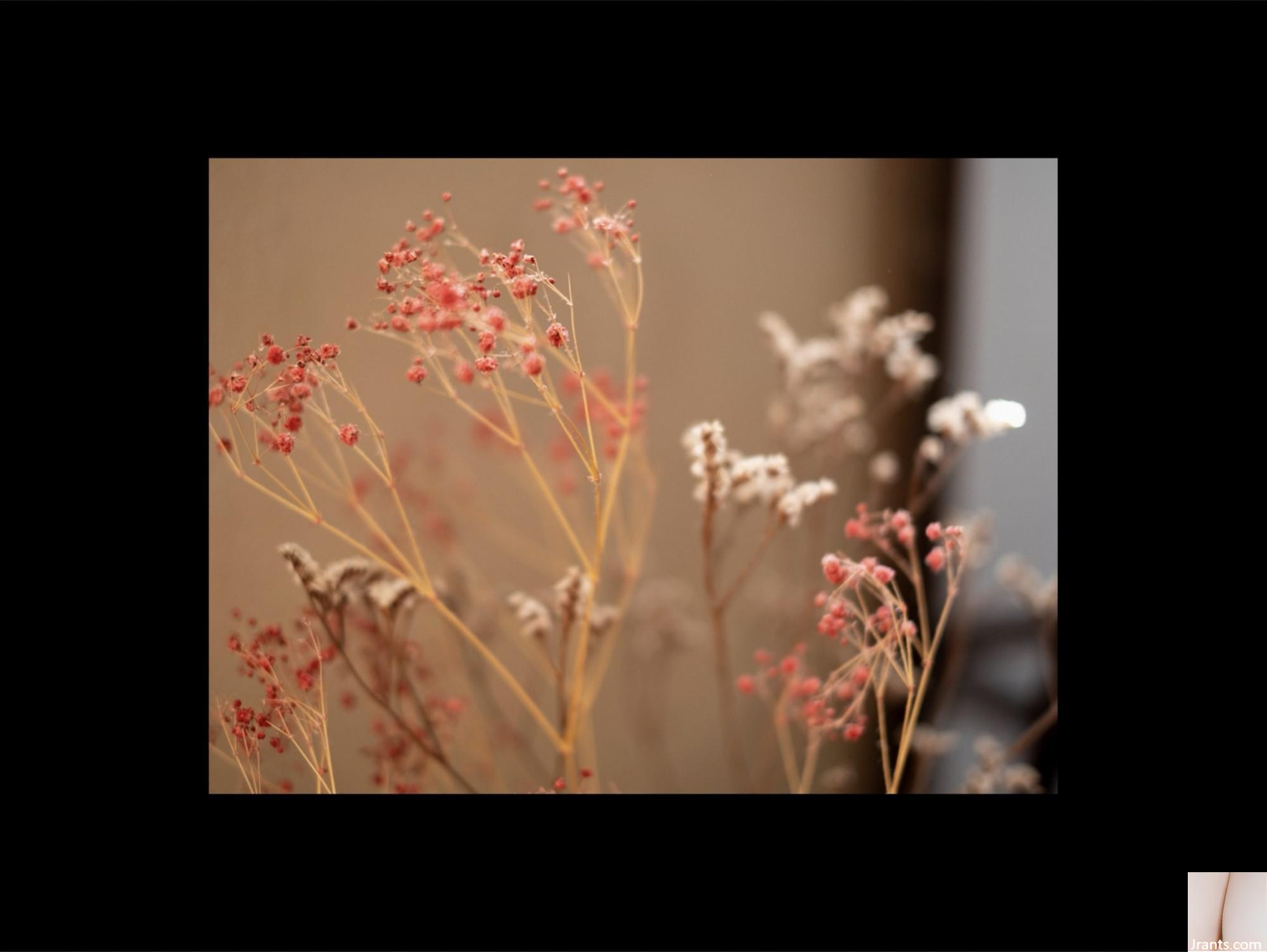 Yoshine Yuria (Photobook) Bộ sưu tập ảnh khỏa thân trong mùa hiệu quả (66p) - Ảnh 19