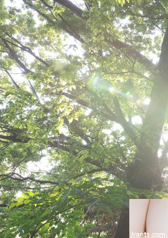 (Sách ảnh) THE 和- SÁCH ẢNH NUDE PHONG CÁCH NHẬT BẢN ㄡ- KBEST (157P) - Ảnh 114