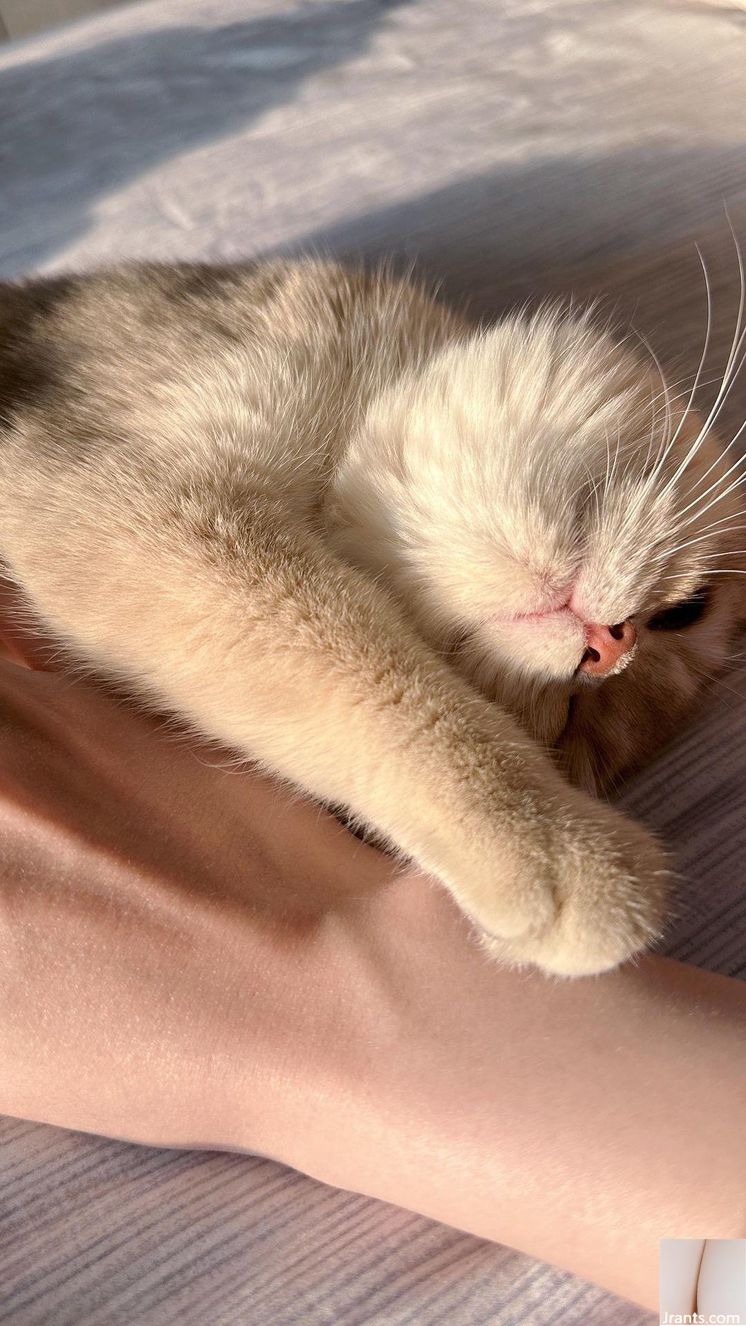 Đỉnh đôi kiêu hãnh “Dương Dương” xinh đẹp của Đường Bạch khiến người ta muốn bay bổng (24P) - Ảnh 6