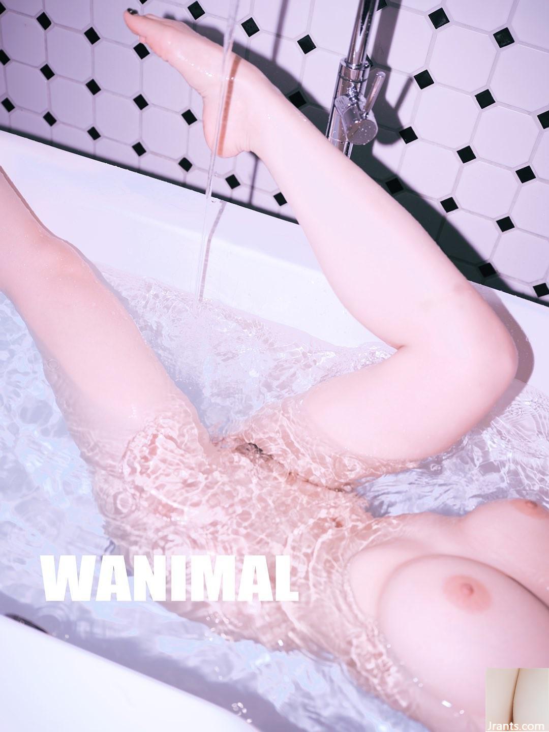 (Nhiếp ảnh gia)@WANIMAL912(159P) - Ảnh 108