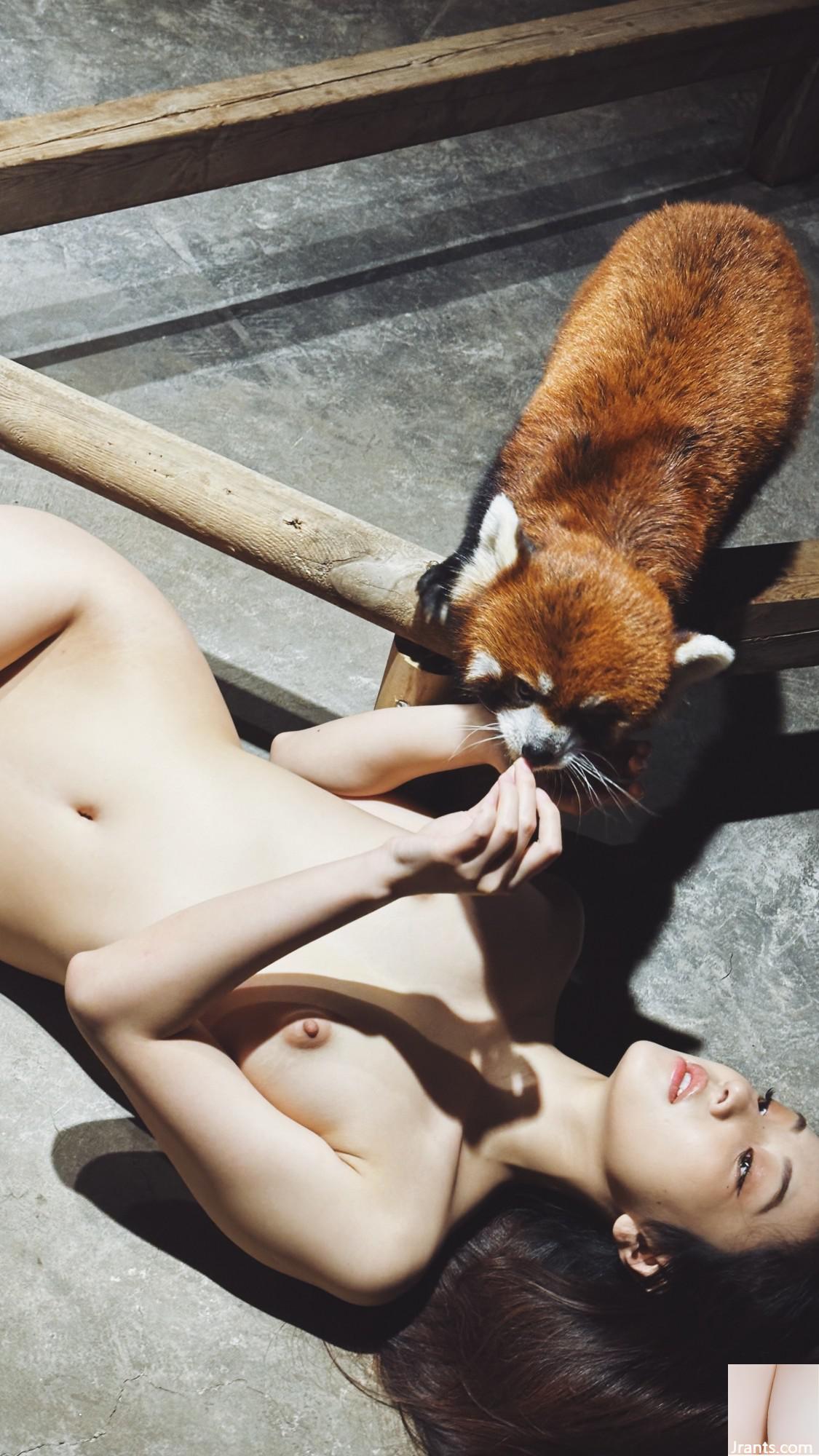 (Nhiếp ảnh gia)@WANIMAL912(159P) - Ảnh 153