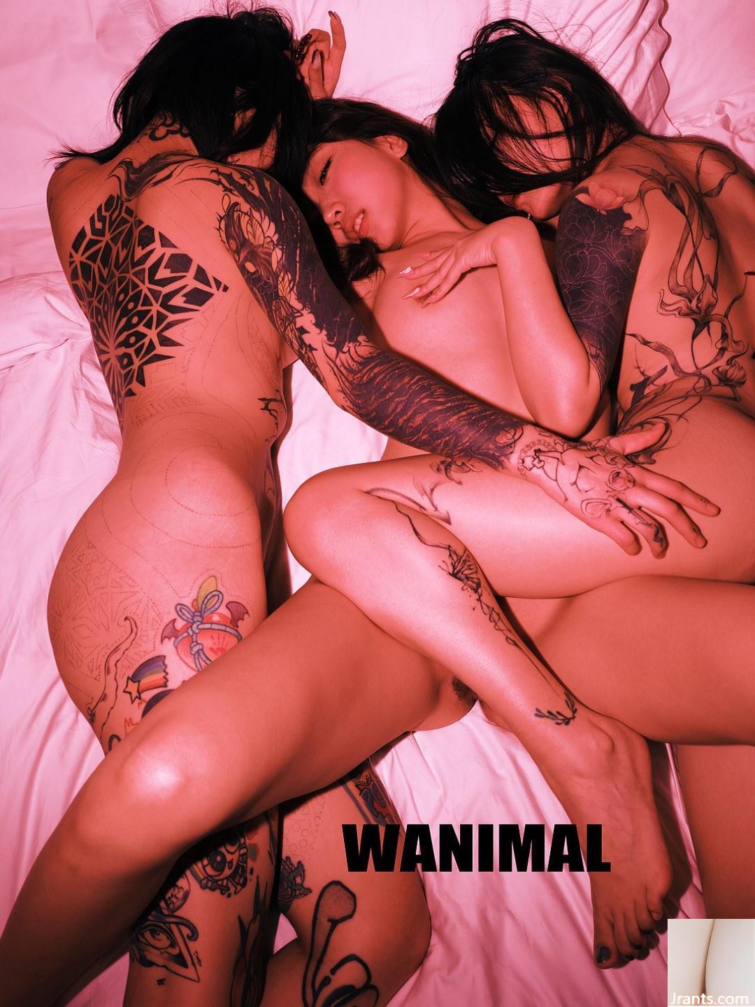 (Nhiếp ảnh gia)@WANIMAL912(159P) - Ảnh 155