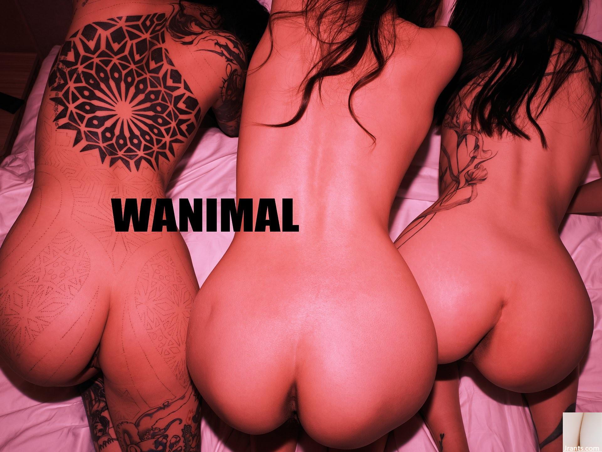 (Nhiếp ảnh gia)@WANIMAL912(159P) - Ảnh 156