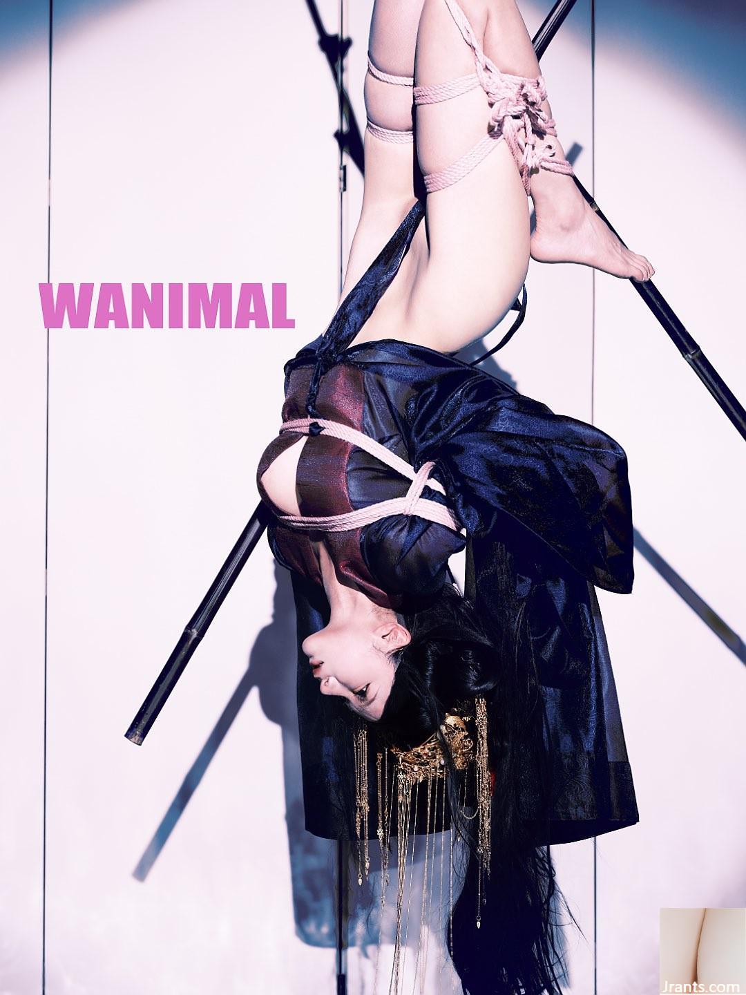 (Nhiếp ảnh gia)@WANIMAL912(159P) - Ảnh 67