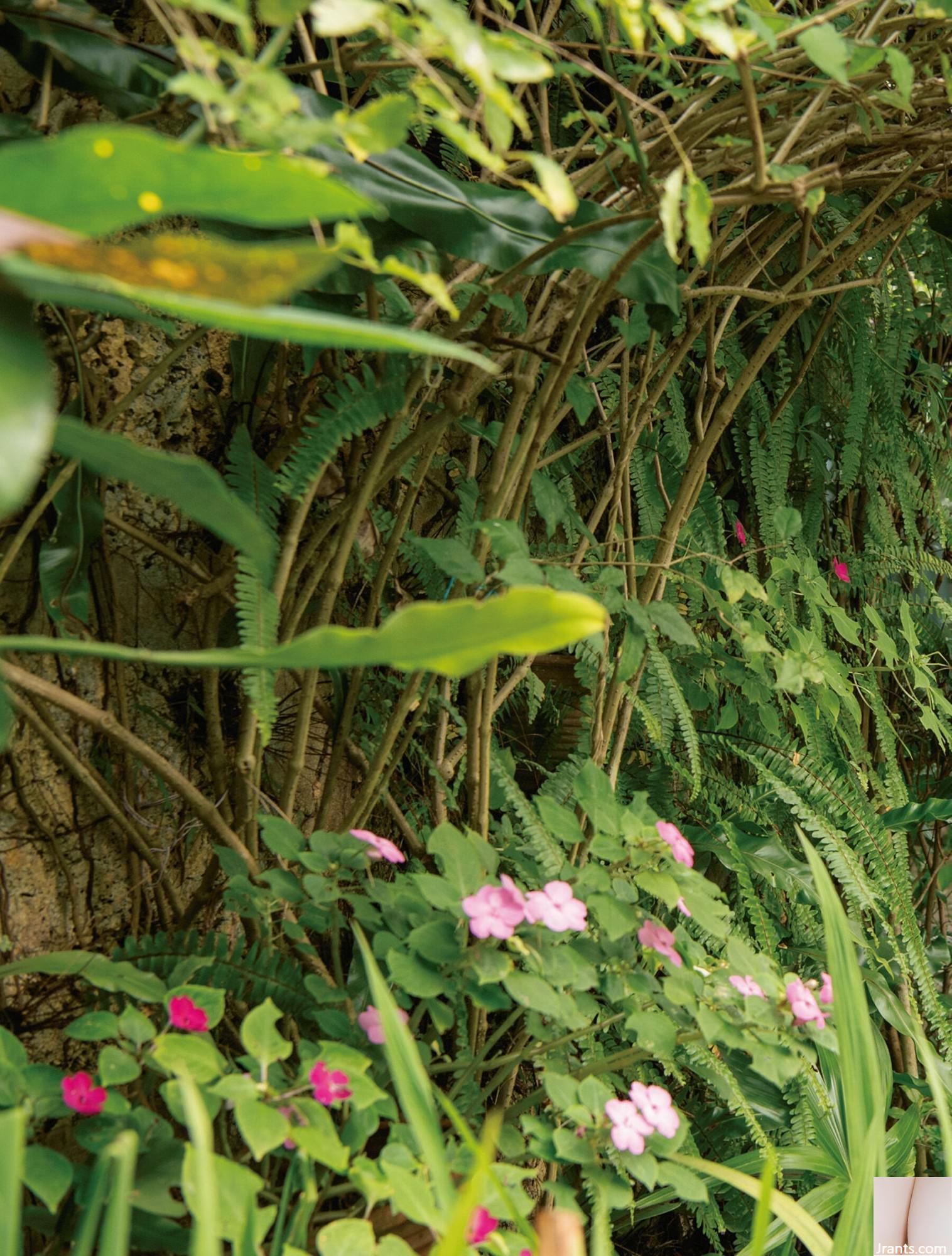 (アサ云SEXY) Nanamori Lily “sự thật” (112P) - Ảnh 56