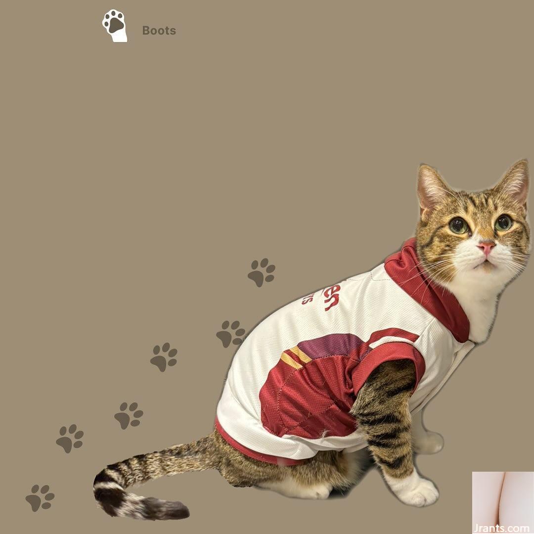 “Rina Xie Aina” dễ thương và quyến rũ có thân hình hoàn hảo (20P) - Ảnh 6