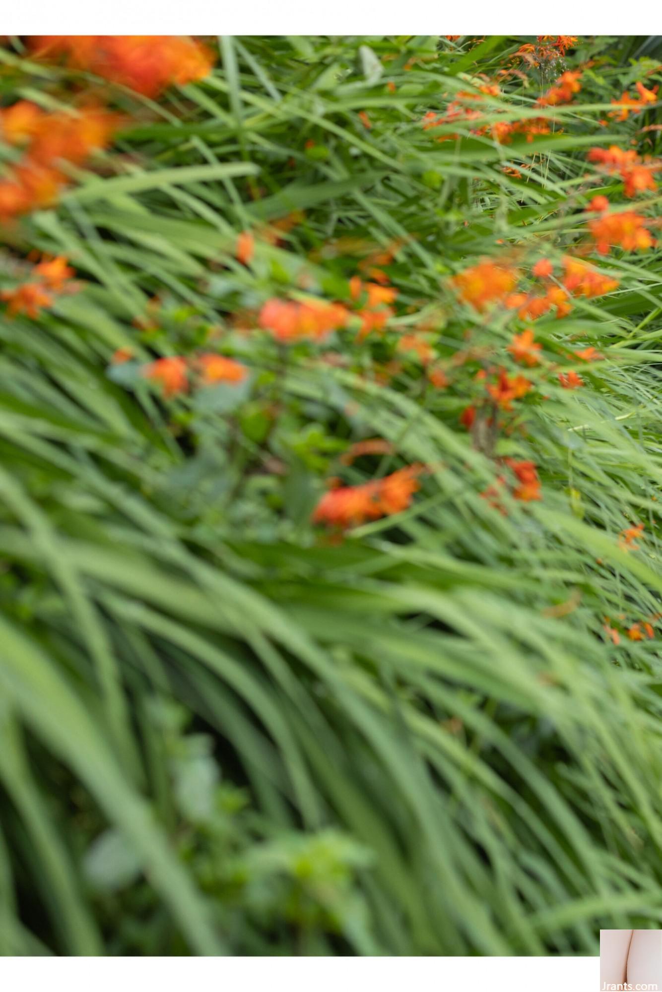 (Bộ người mẫu Nhật Bản) Takimoto Shizukuha “THIÊN NHIÊN” (140P) - Ảnh 49