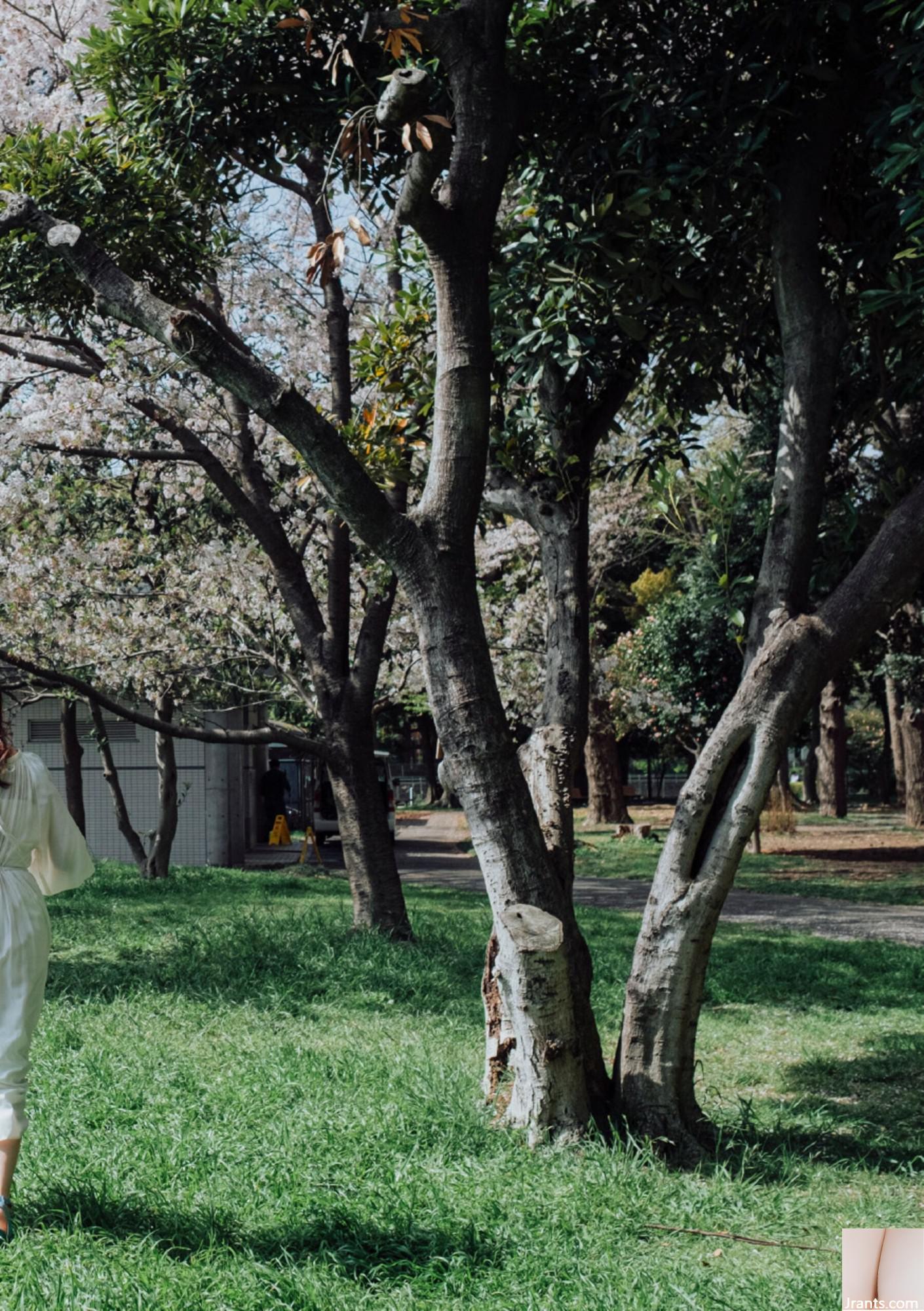 (Áo choàng Nhật Bản) Riri Nanamori《Torarechi》 (139P) - Ảnh 58