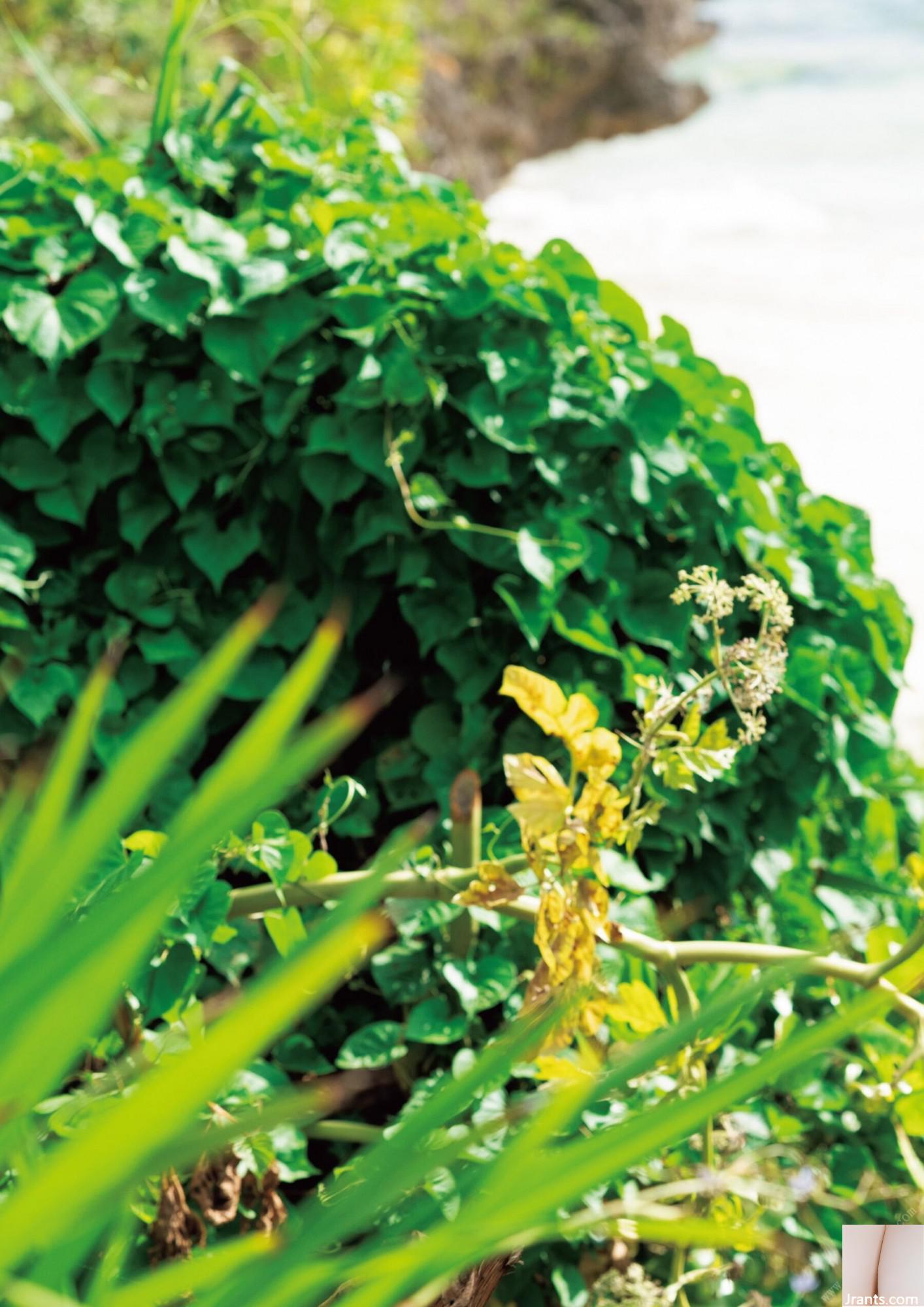 (Bộ người mẫu Nhật Bản) Saito Ami “Sensual” (87P) - Ảnh 47