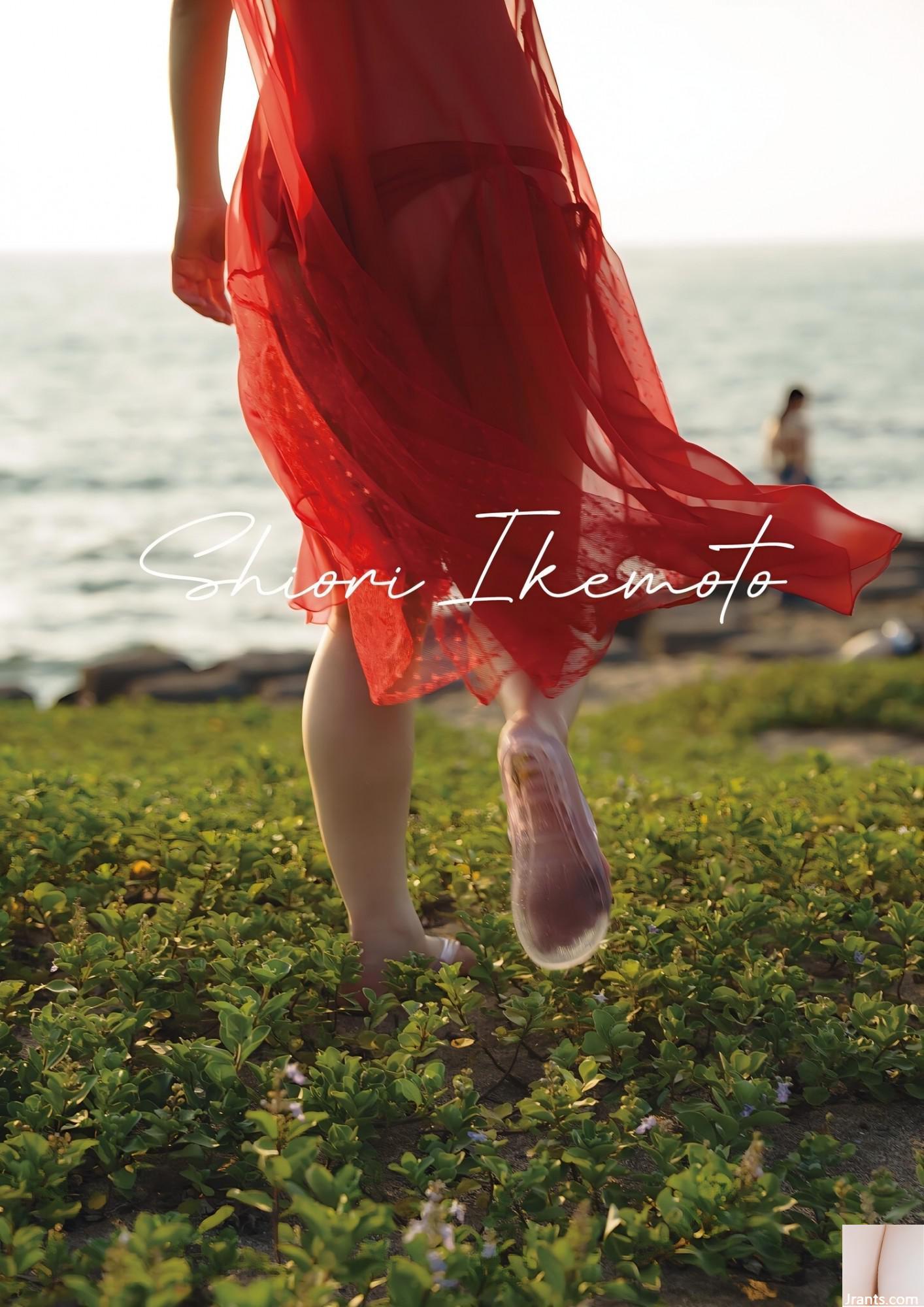 (しおり Ikemoto) Đỉnh núi đôi kiêu hãnh sóng gió đến nỗi người qua đường lập tức yêu mến (12P) - Ảnh 12