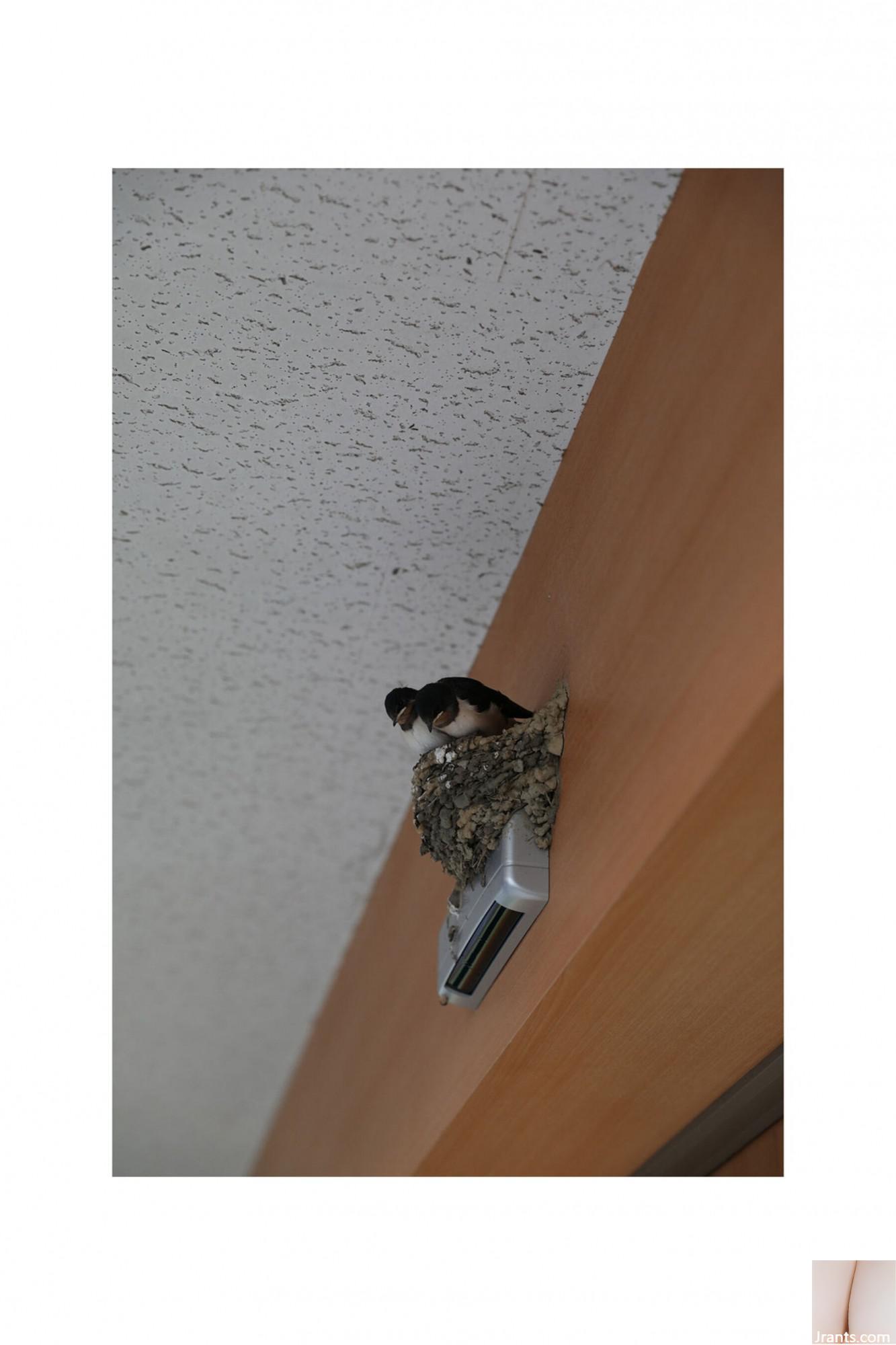 (Bộ sưu tập ảnh kỹ thuật số của Bost) Tsukasa Aoi《I'm Drowning in You》(95P) - Ảnh 9