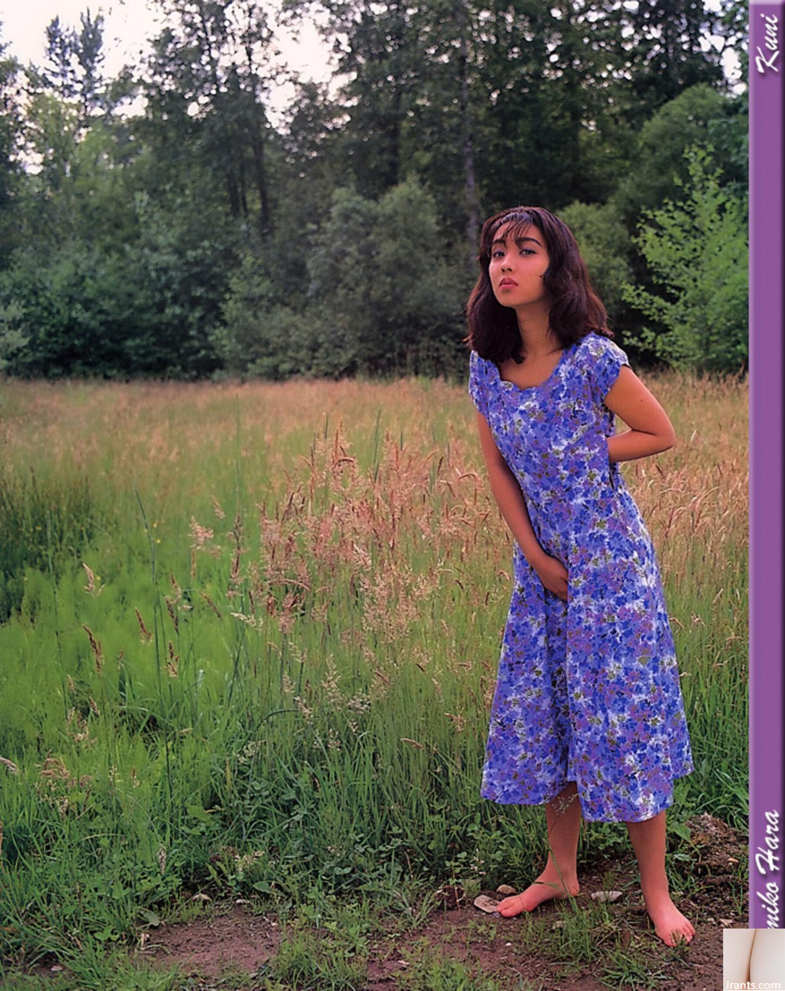 Kumiko Hara (Ảnh) (KUNIScan) (178P) - Ảnh 151