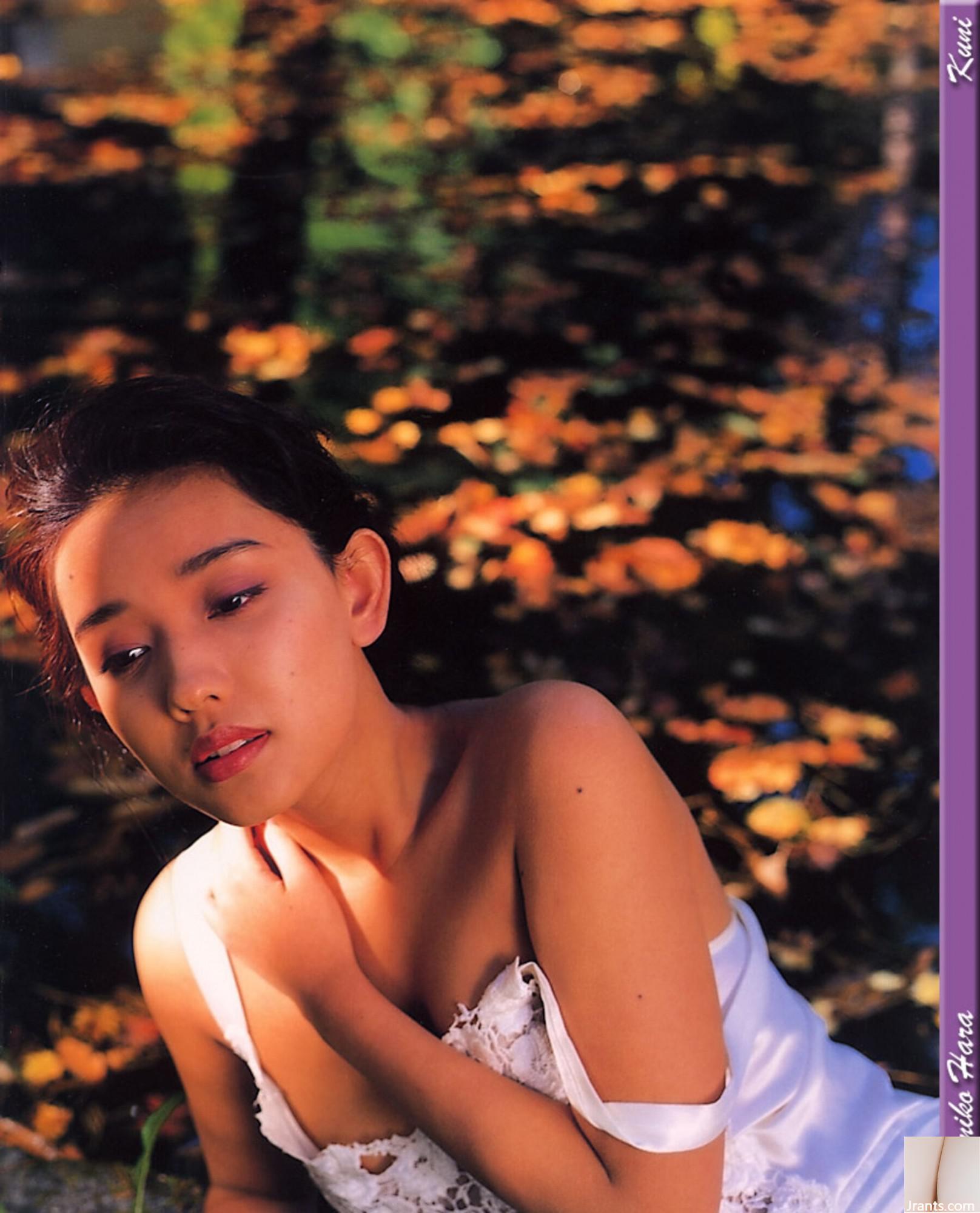 Kumiko Hara (Ảnh) (KUNIScan) (178P) - Ảnh 177