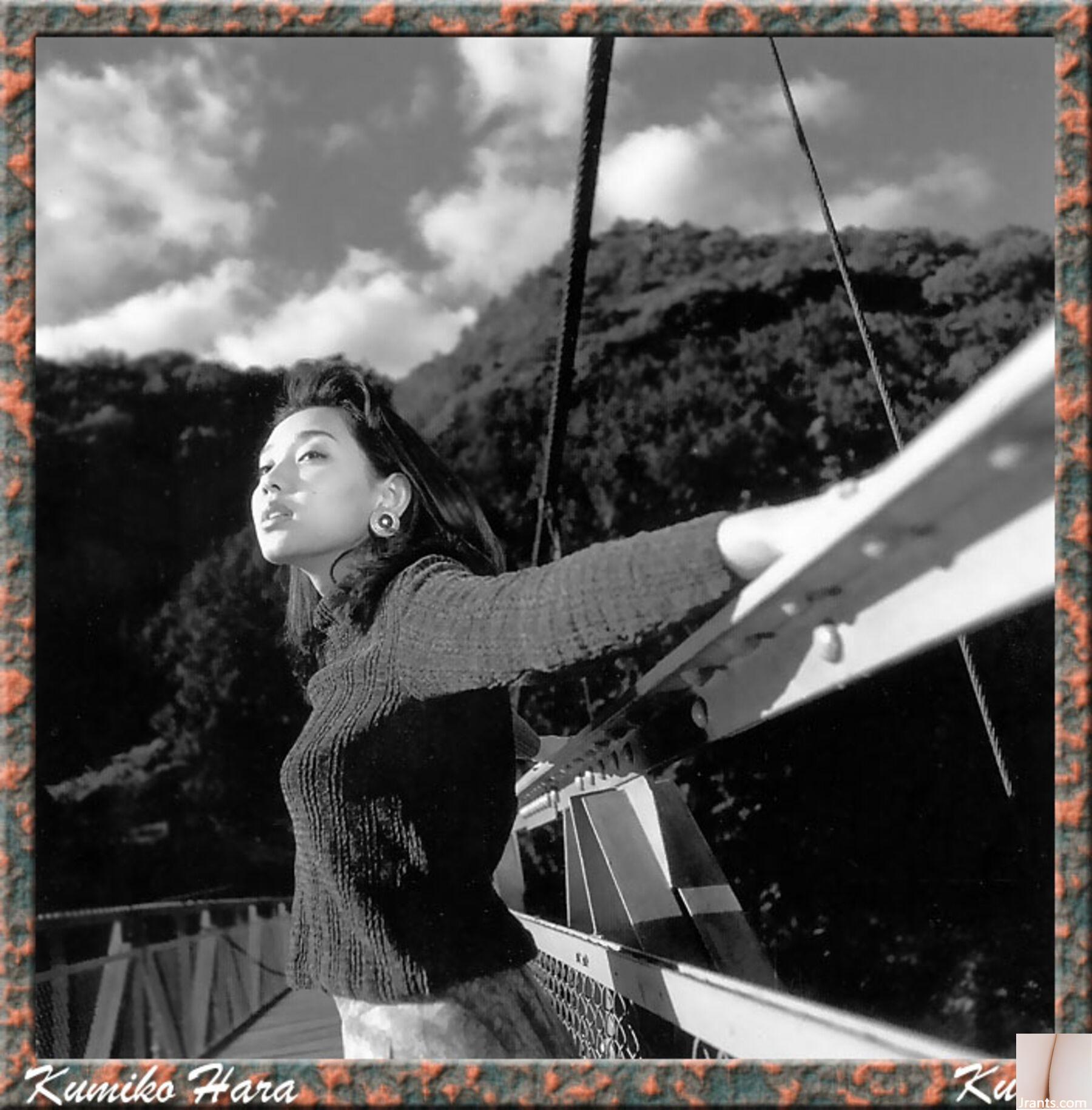 Kumiko Hara (Ảnh) (KUNIScan) (178P) - Ảnh 91