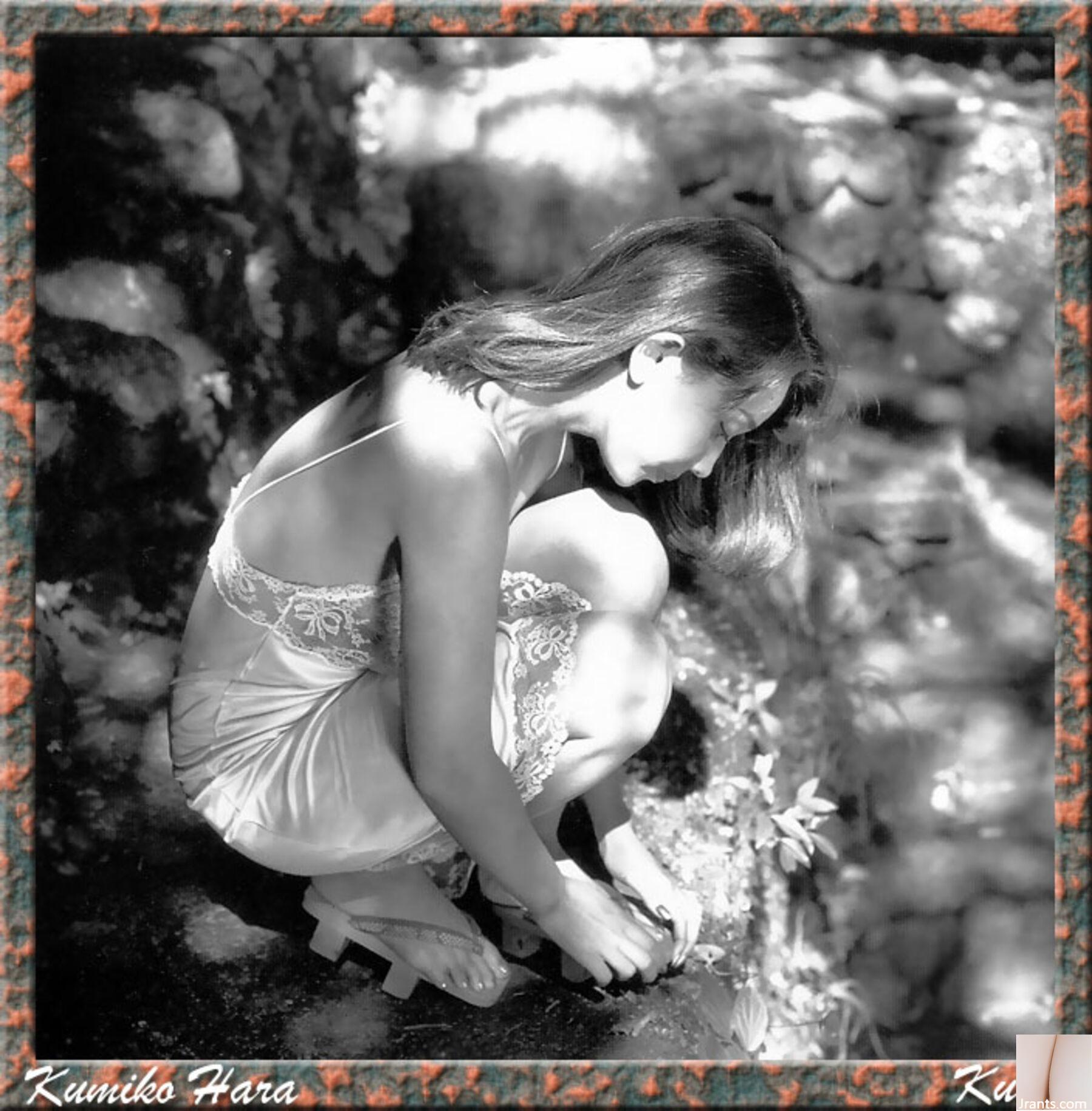 Kumiko Hara (Ảnh) (KUNIScan) (178P) - Ảnh 93