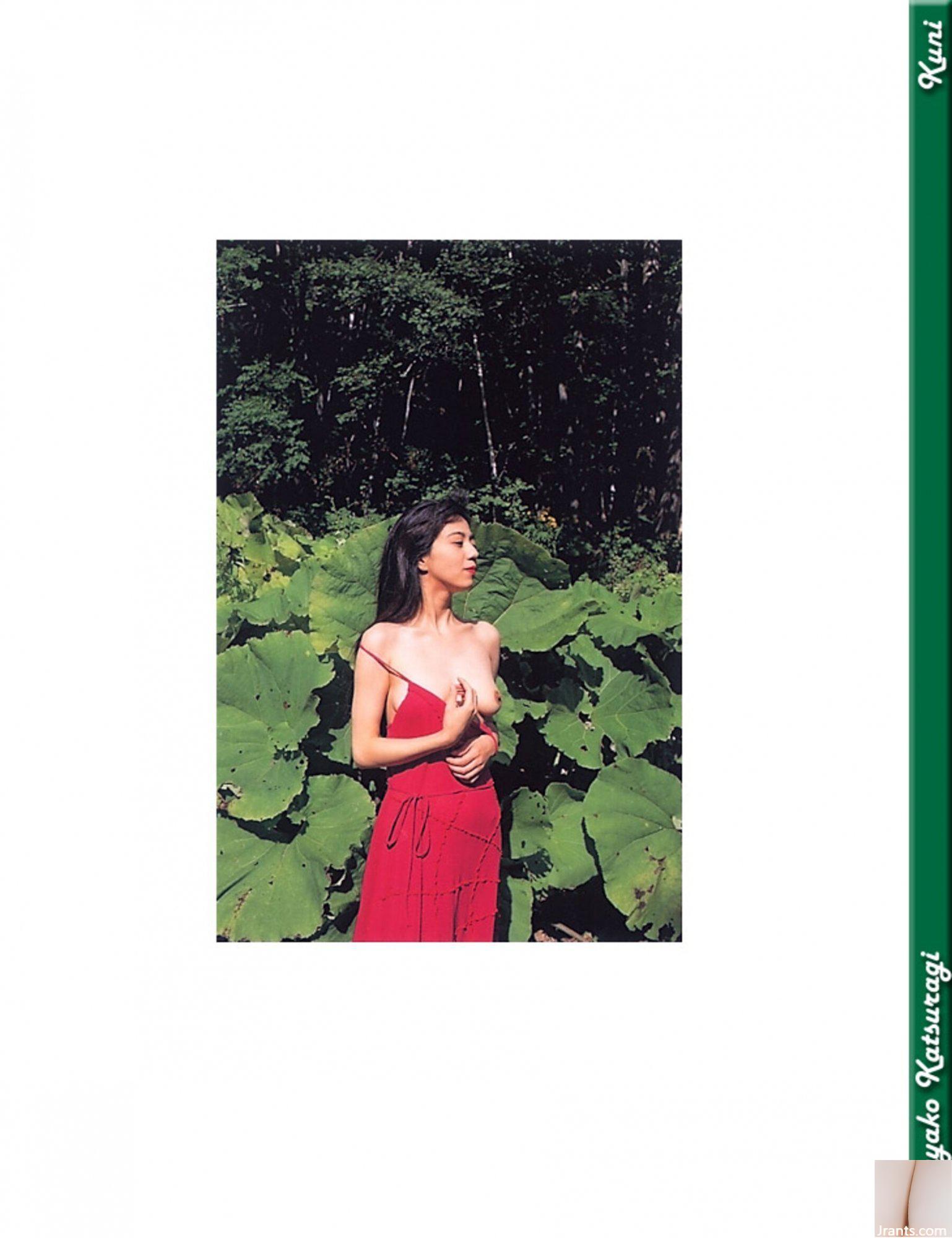 Mayako Katsuragi (Ảnh) (KUN Scan) (79P) - Ảnh 22