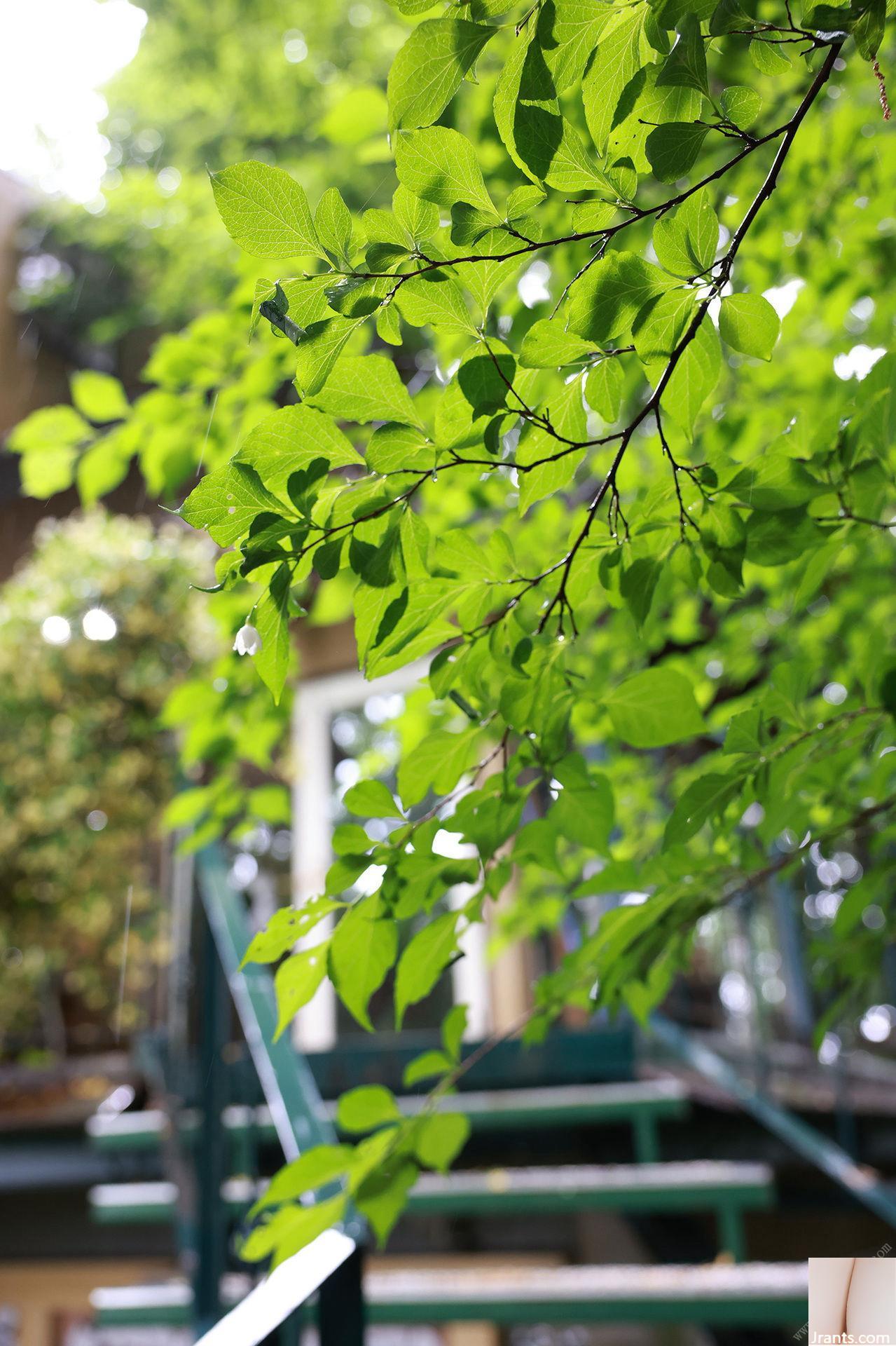 Shen Mulan AI LOVE Doll Weekly ポストデジタル album ảnh (74P) - Ảnh 30