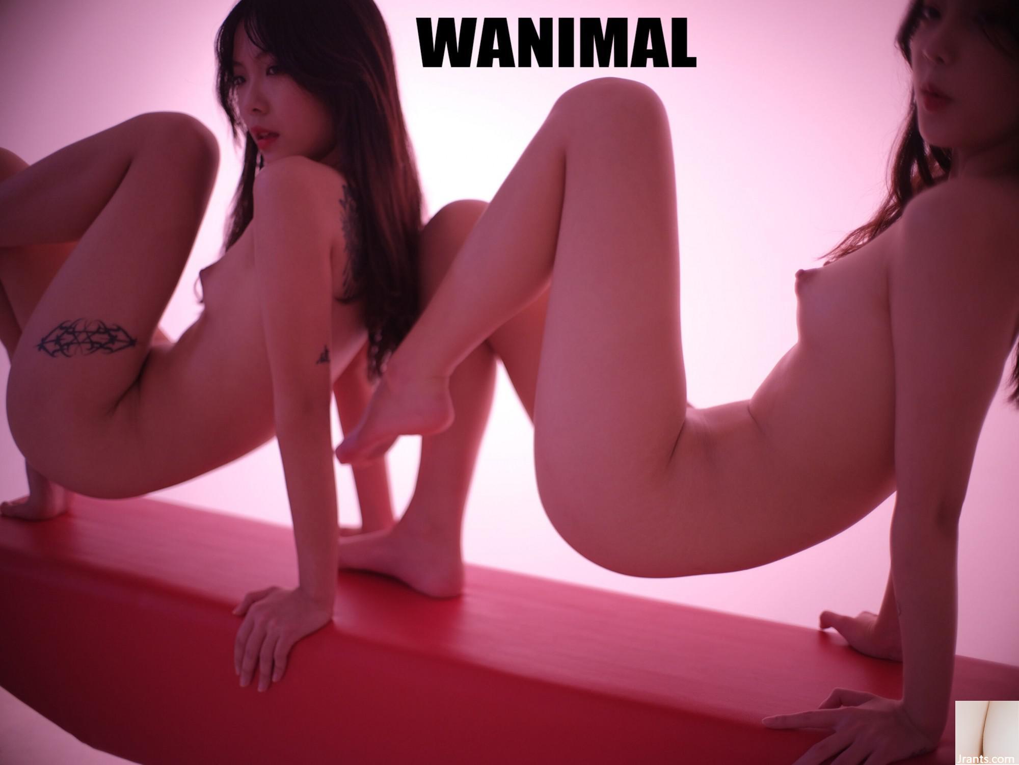 ?纭多忝无ā?(16P)