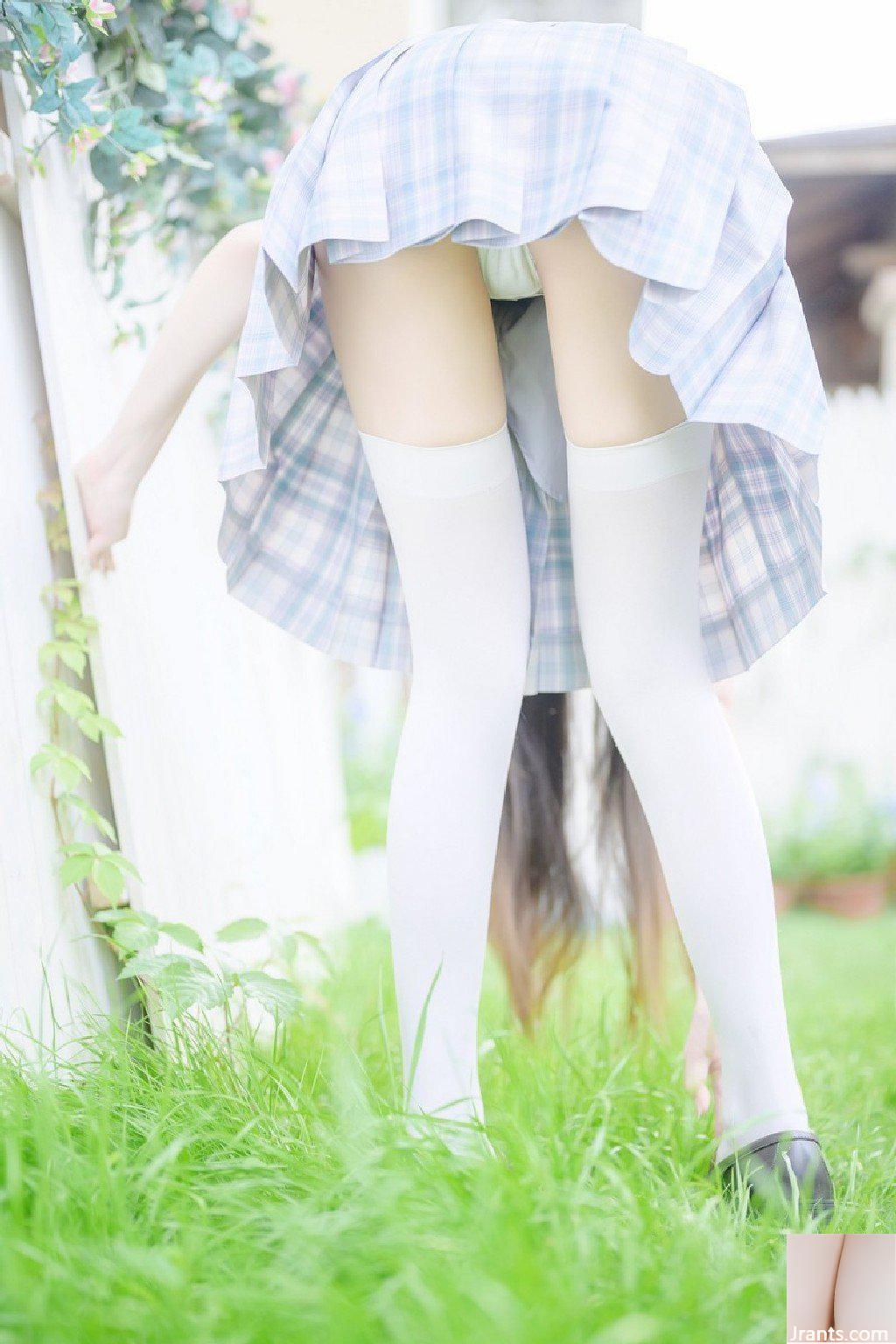 Kaso meo meo Yang (44P) - Ảnh 2