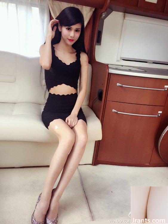 Hình ảnh sườn xám đầy đặn, 175 người mẫu triển lãm ô tô khác Panado Ya (24P) - Ảnh 19