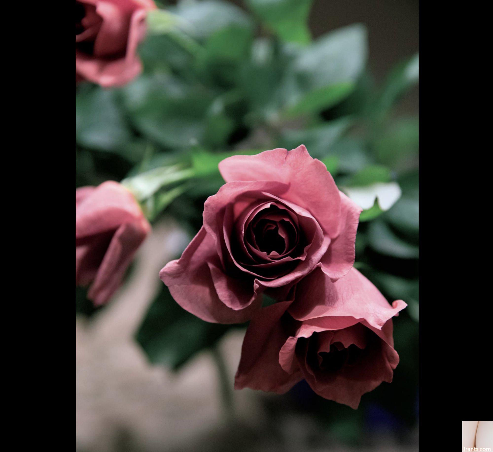 Tomoko Nakajima (Photobook) ヘアヌードPhotobook “Enka Enka” (No Watermark) (144P) - Ảnh 58