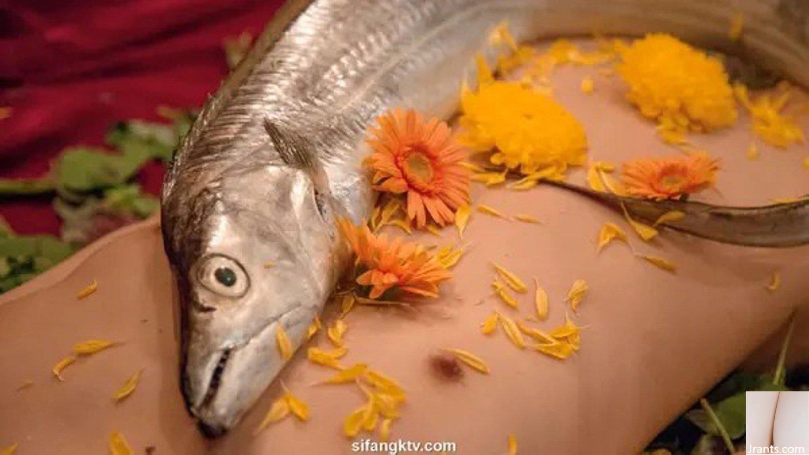 Danh mục đầu tư không cấm kỵ của nhiếp ảnh gia-04 (76P) - Ảnh 72