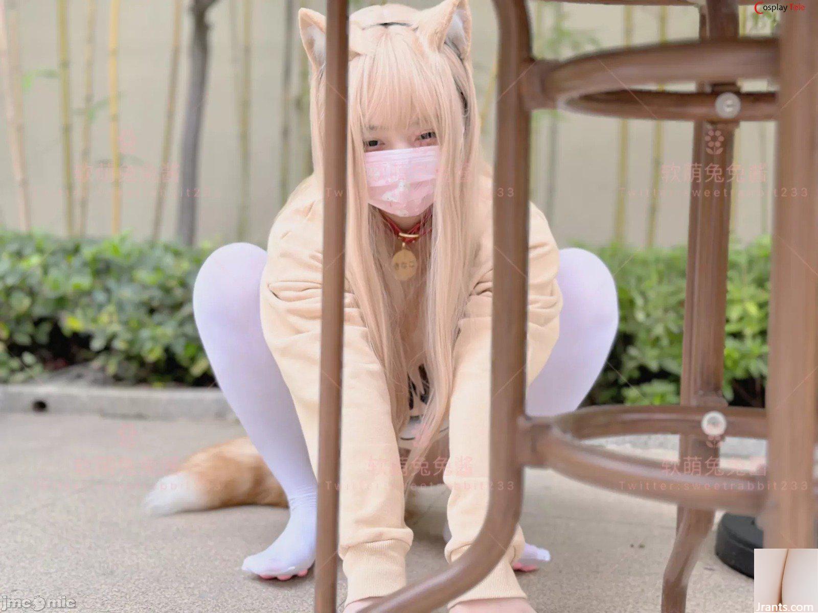 SweetRabbit233 – Con Mèo (76P) - Ảnh 44