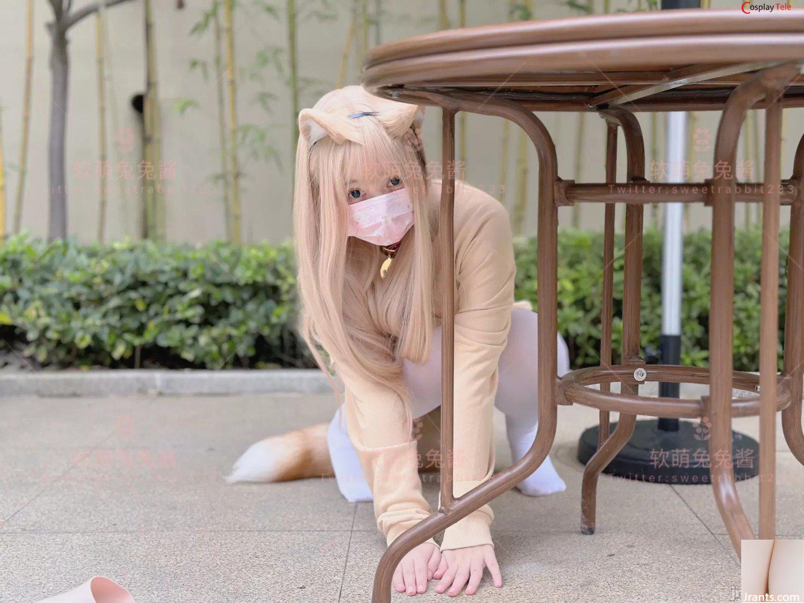 SweetRabbit233 – Con Mèo (76P) - Ảnh 67