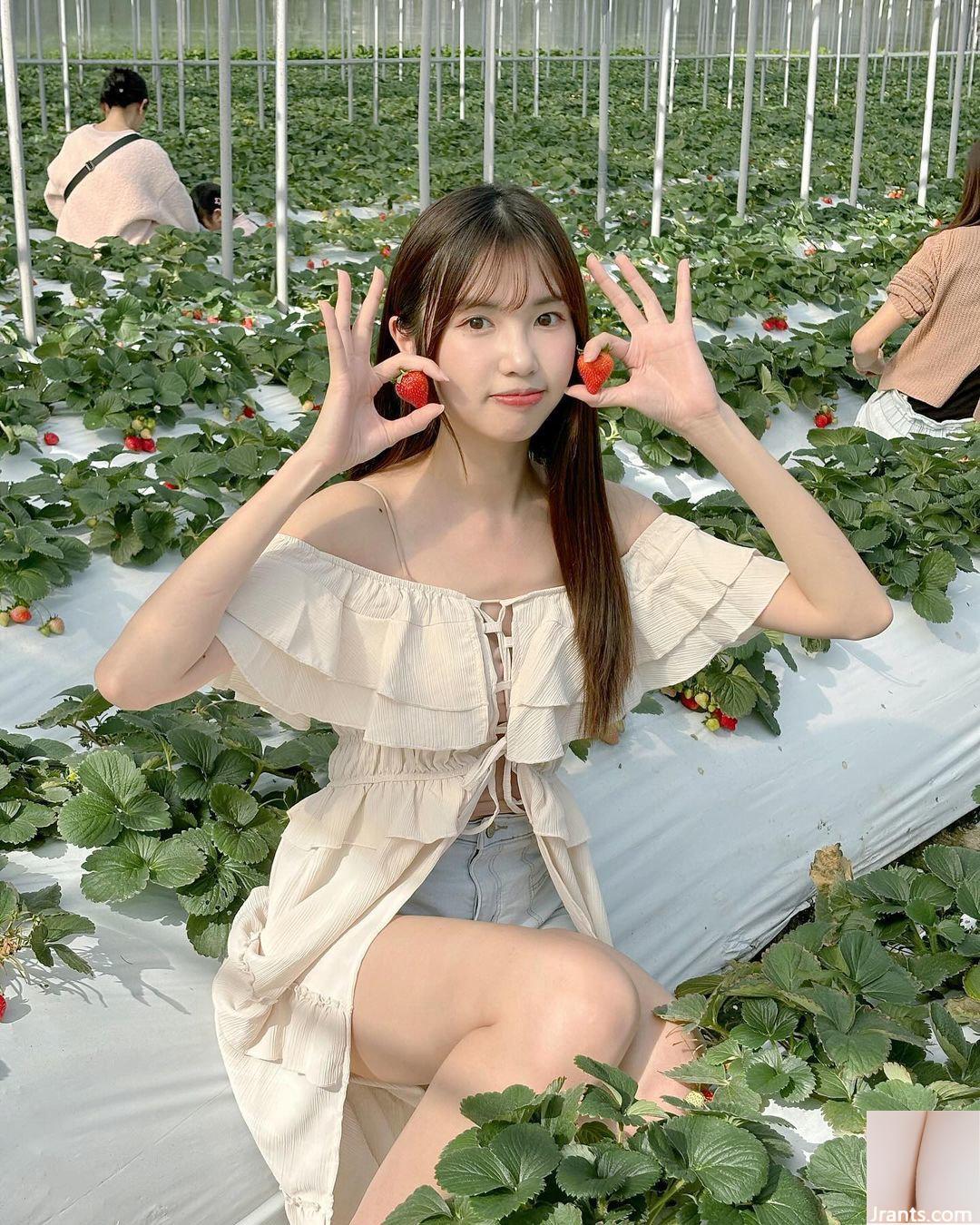 Vẻ đẹp khí chất “Huimi” quyến rũ mọi người bằng nụ cười ngọt ngào và khả năng chữa lành vết thương (10P) - Ảnh 5